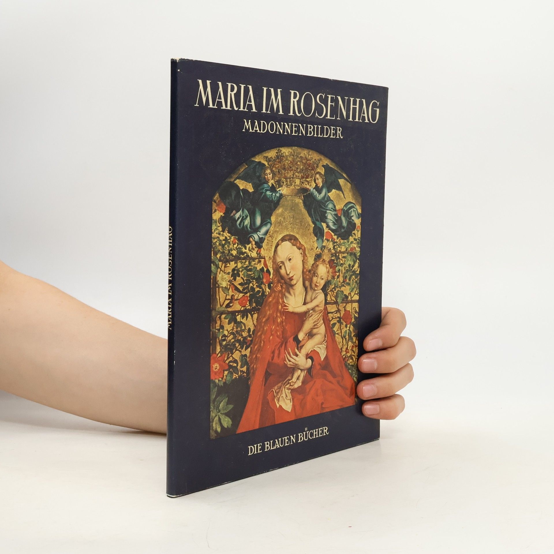 Various authors Maria im Rosenhag