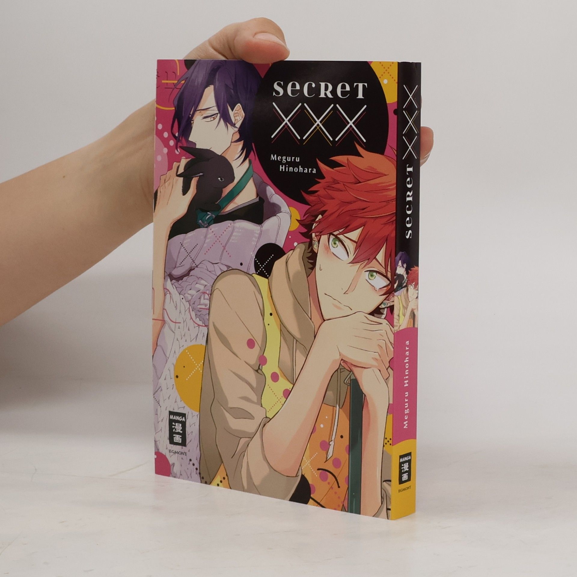 Meguru Hinohara Secret XXX
