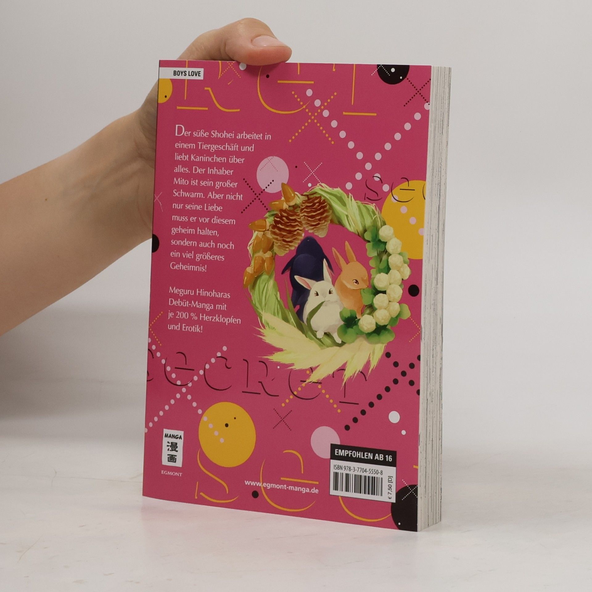 Meguru Hinohara Secret XXX