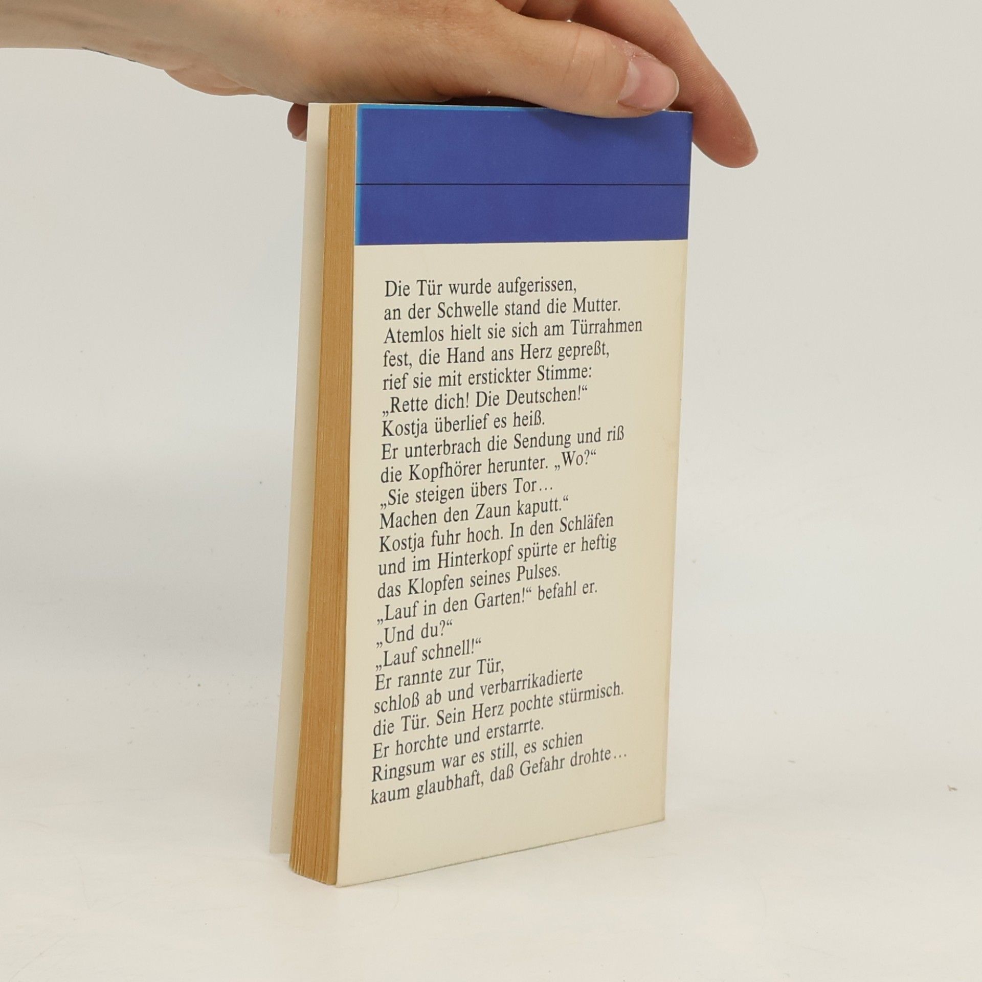 Georgij Brjanzew Das blaue Paket