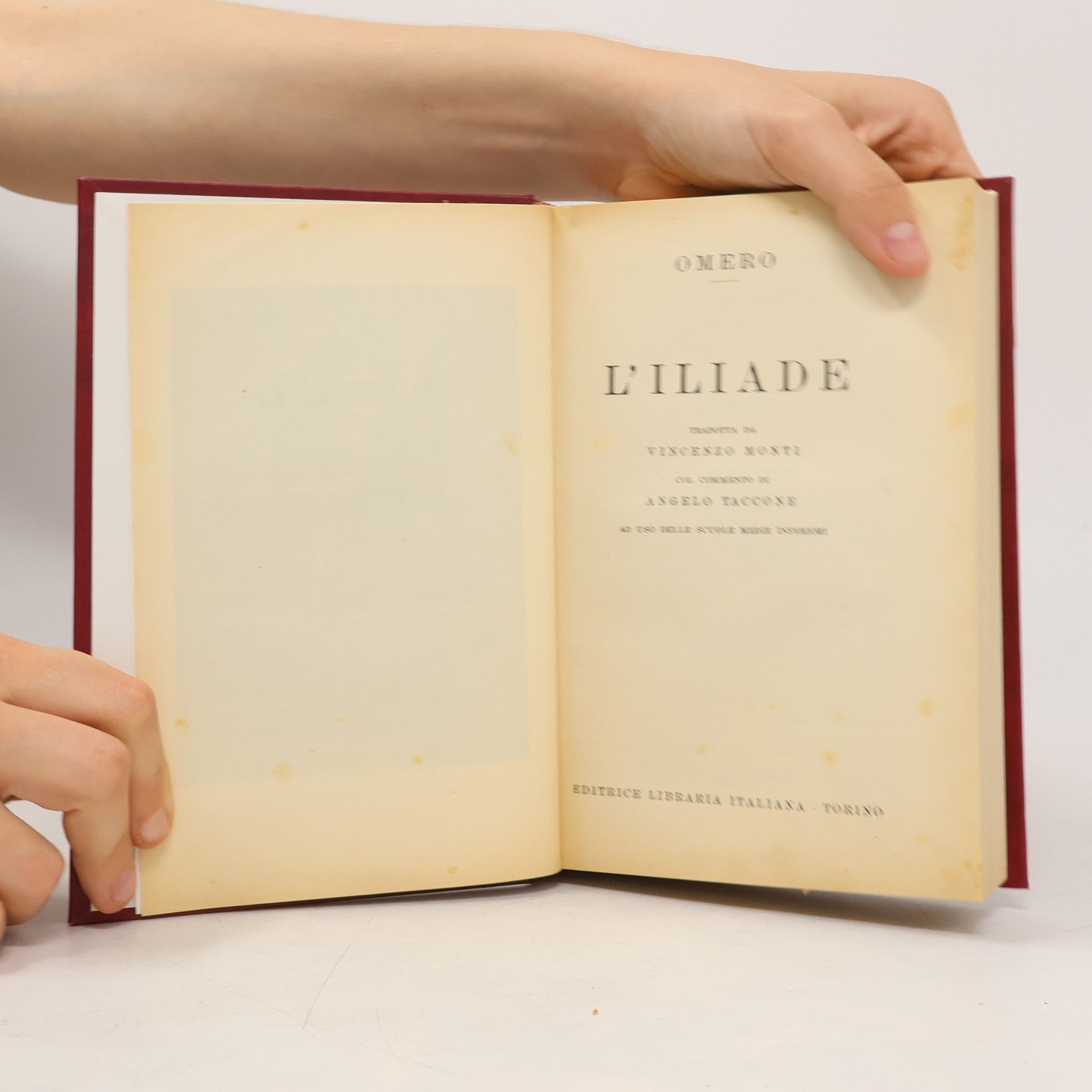 Homér L'illiade