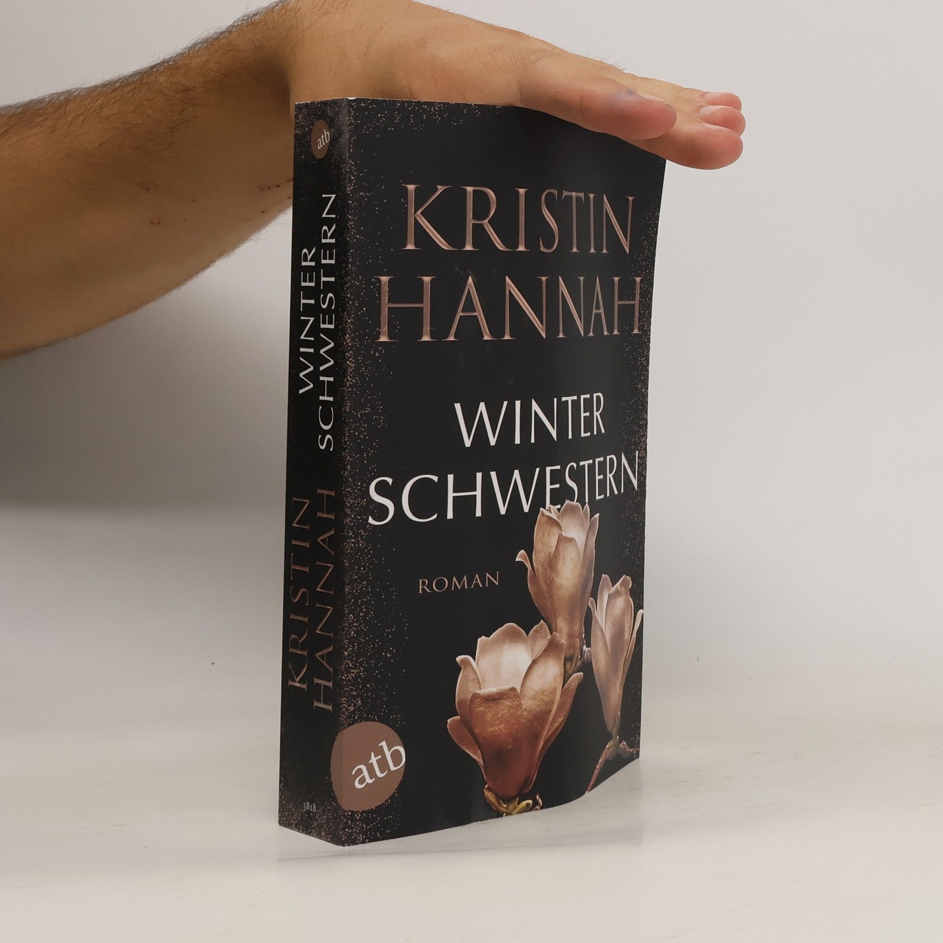 Kristin Hannah Winterschwestern