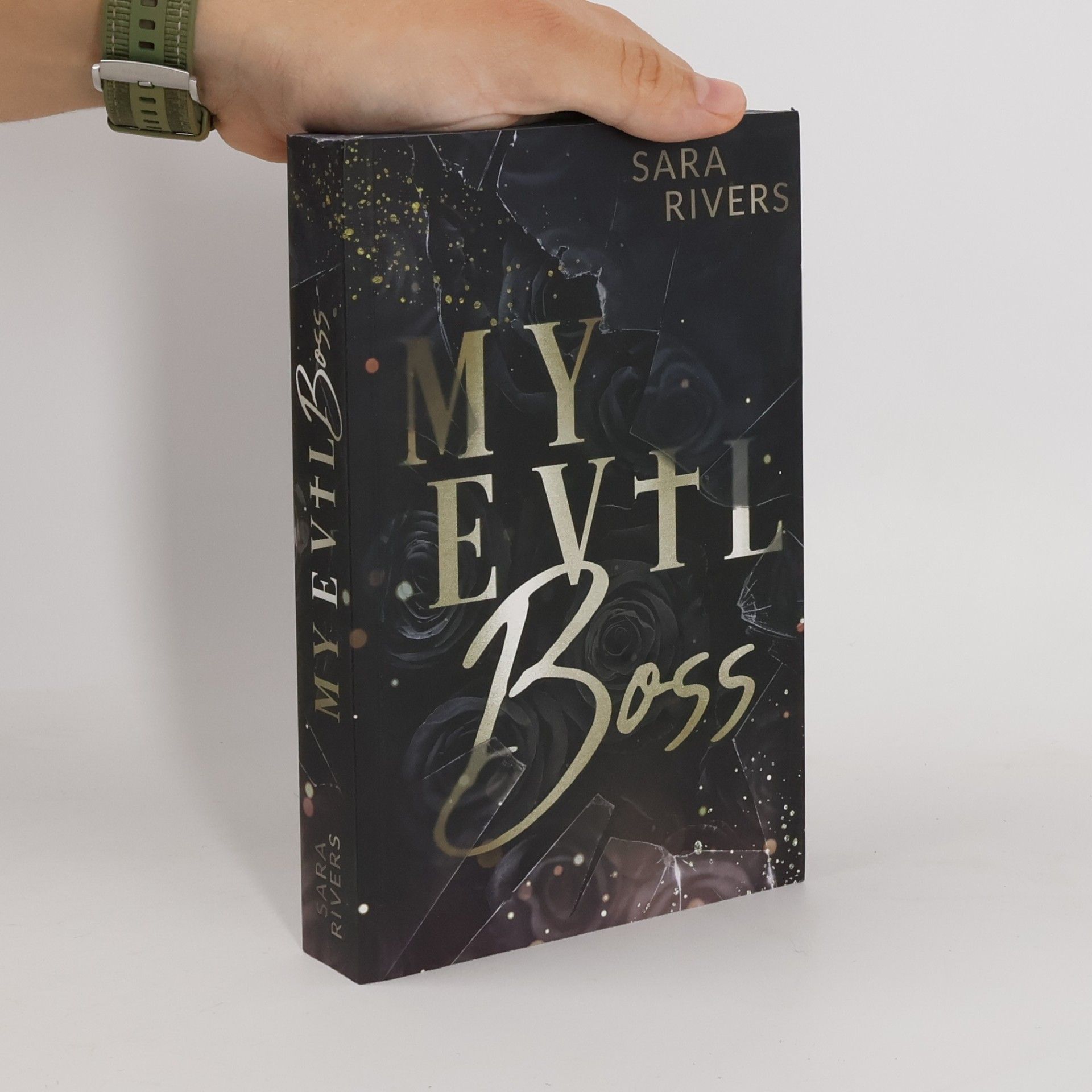 Sara Rivers My Evil Boss