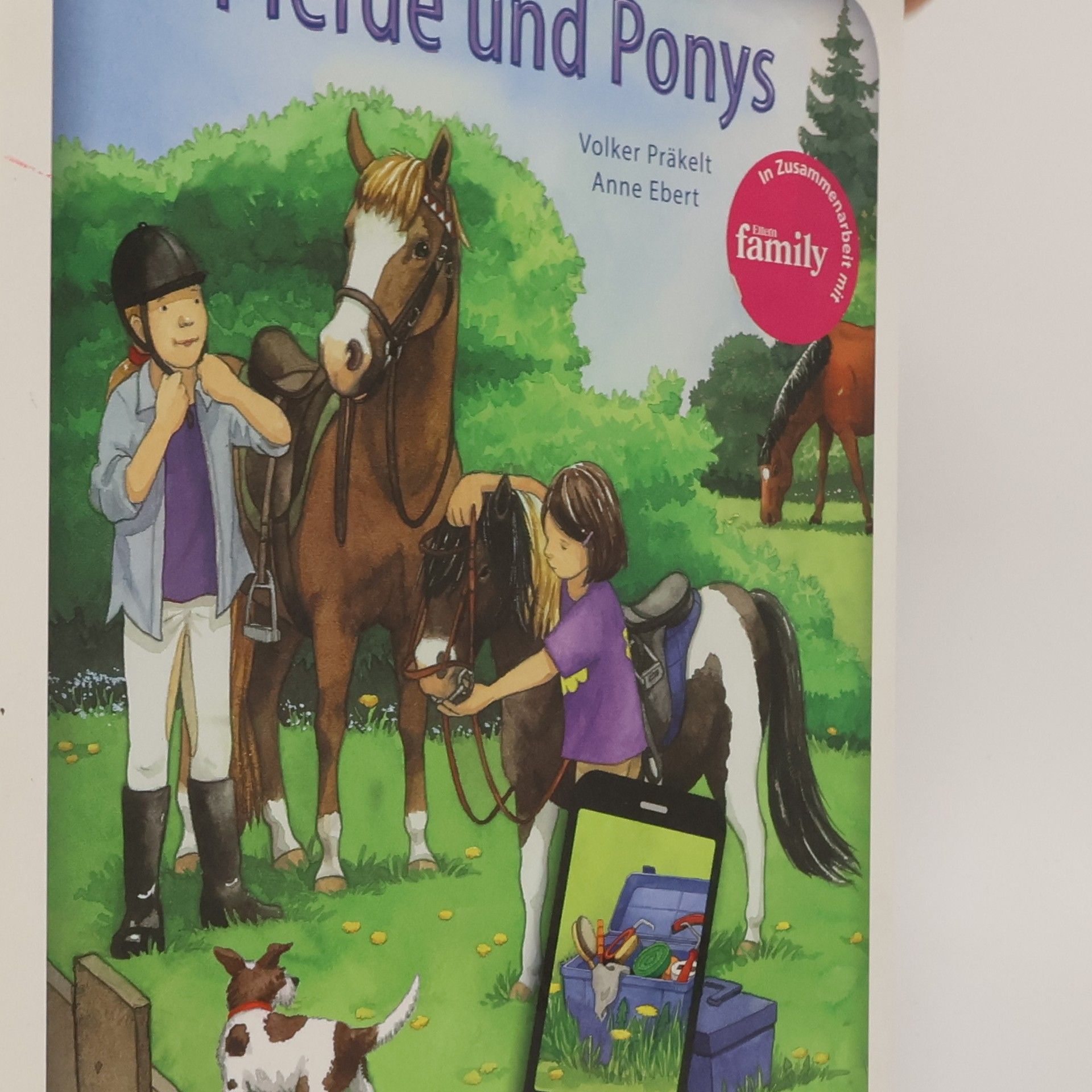 Pferde und Ponys