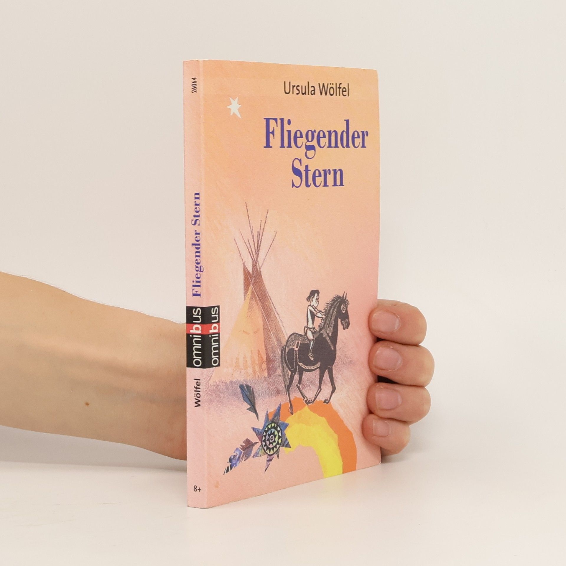 Ursula Wölfel Fliegender Stern