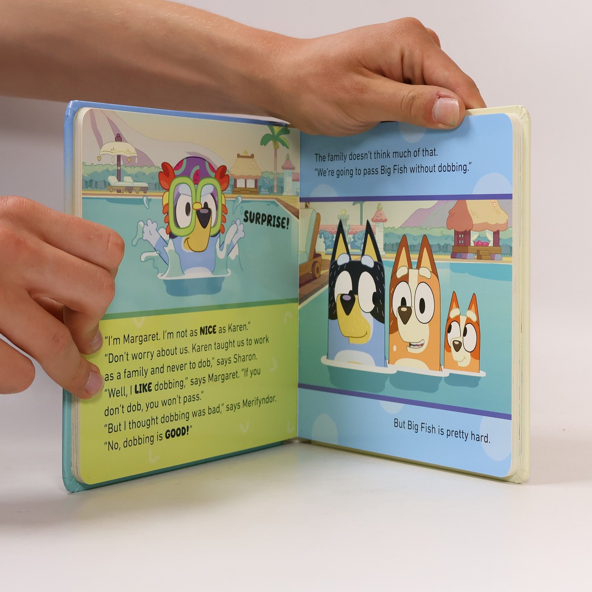 Kolektiv autorů Bluey: Swim School