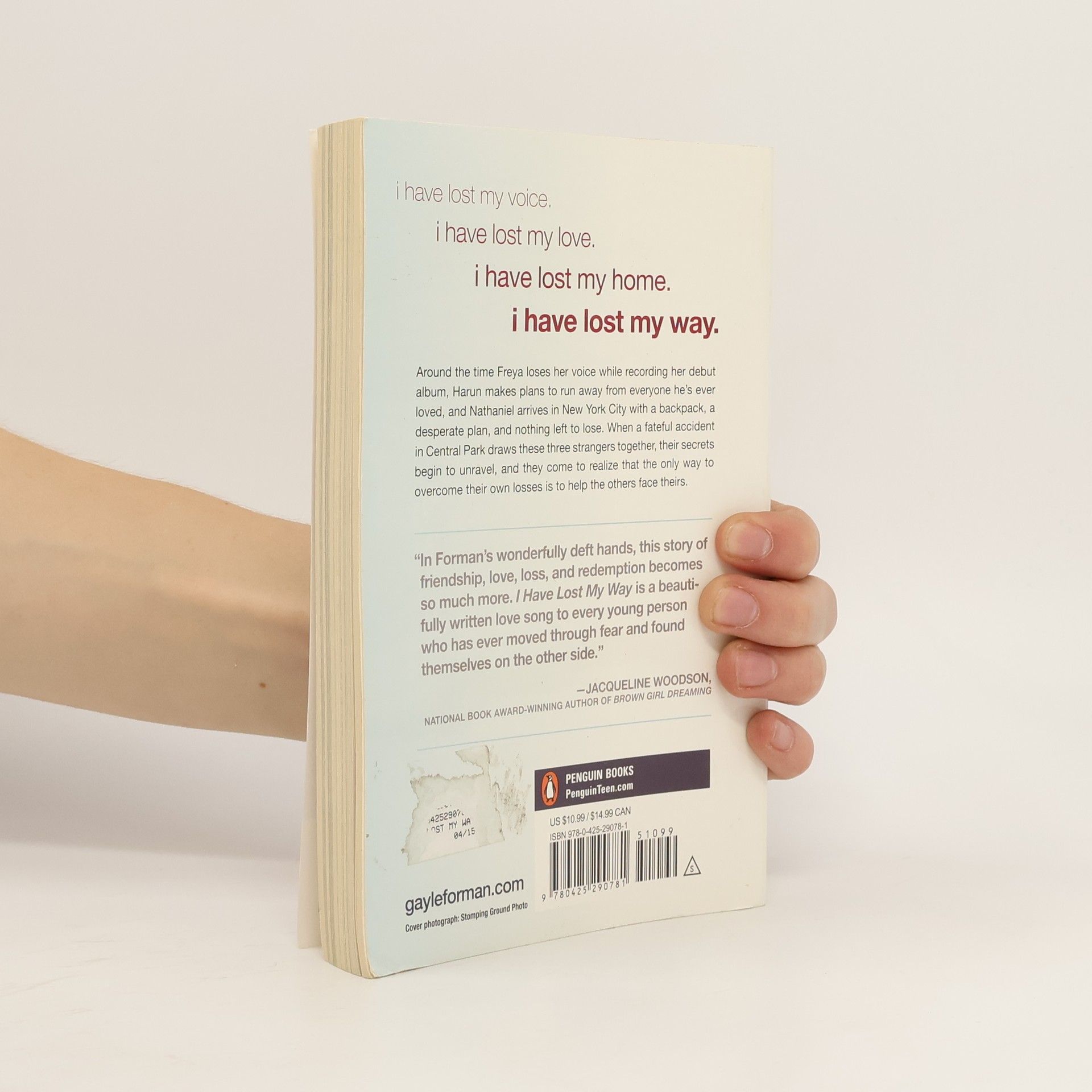 Gayle Forman I Have Lost My Way