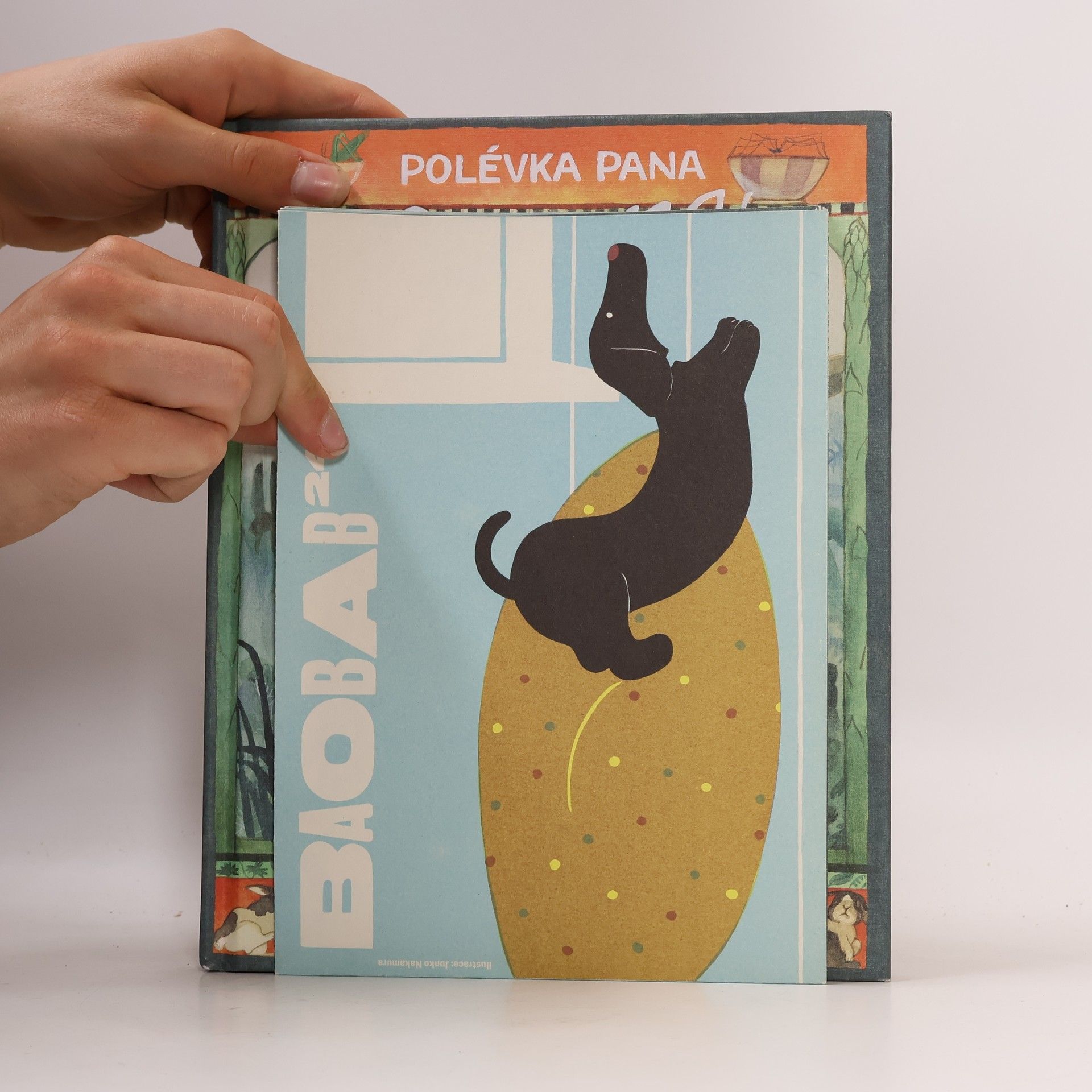 Giovanna Zoboli Polévka pana Leprona