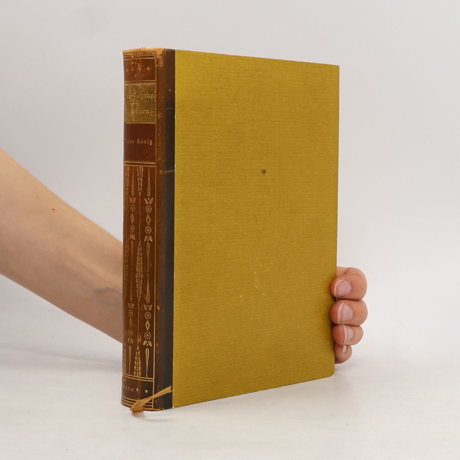 Gustav Freytag Soll und Haben. Roman in sechs Büchern