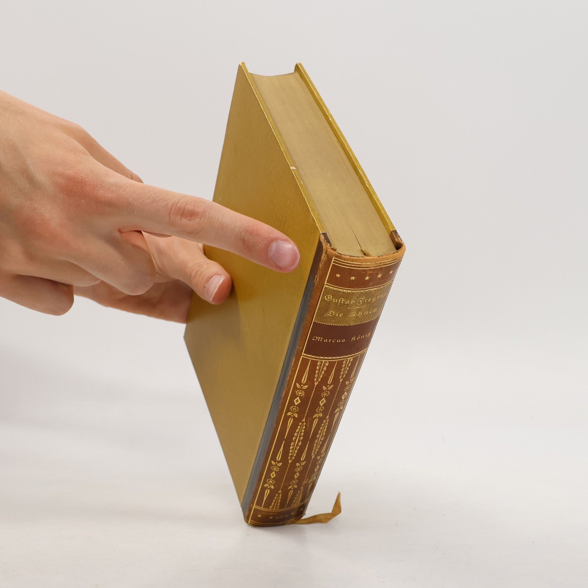 Gustav Freytag Soll und Haben. Roman in sechs Büchern