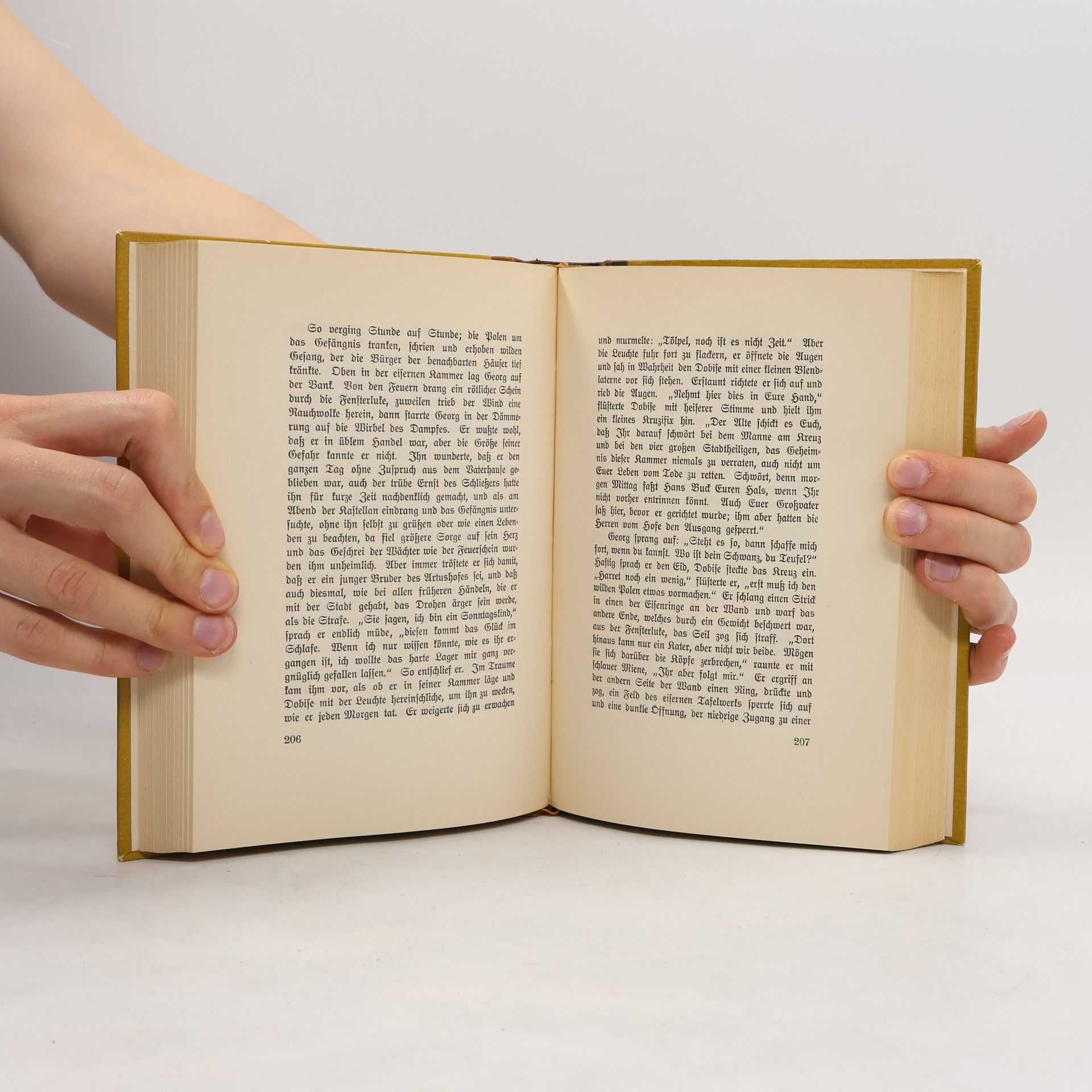 Gustav Freytag Soll und Haben. Roman in sechs Büchern