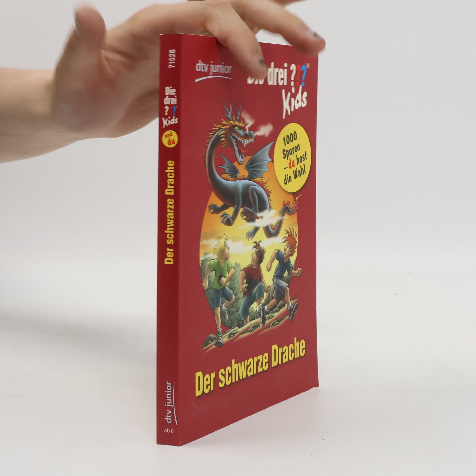 Boris Pfeiffer Die drei ???-Kids - Der schwarze Drache