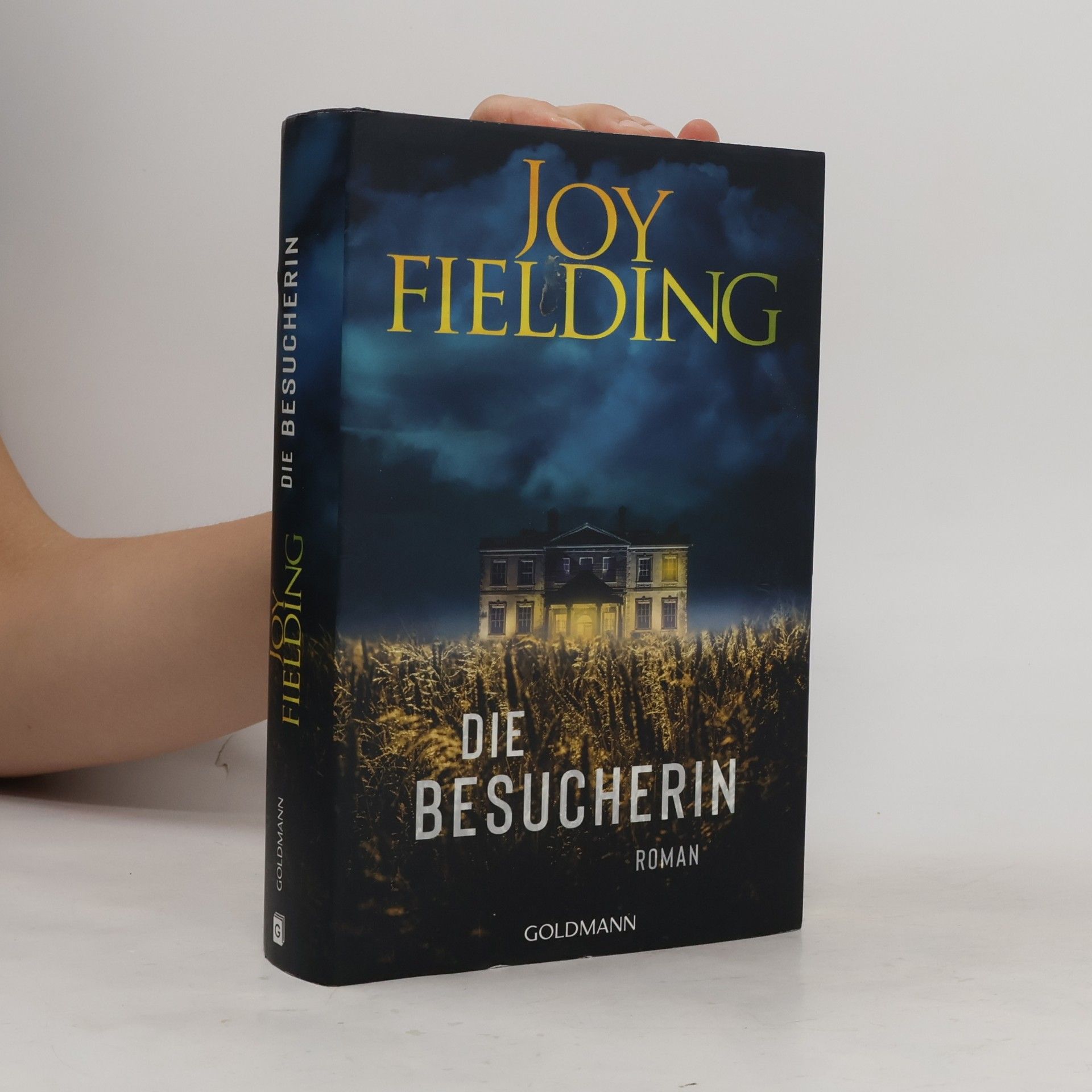 Joy Fielding Die Besucherin