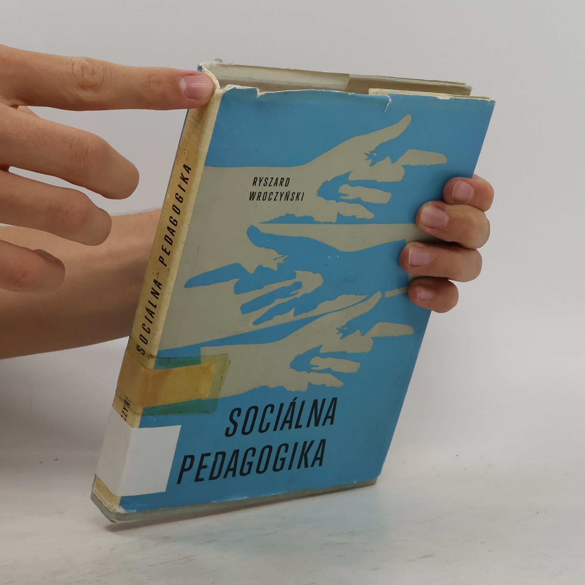 Ryszard Wroczyński Sociálna pedagogika