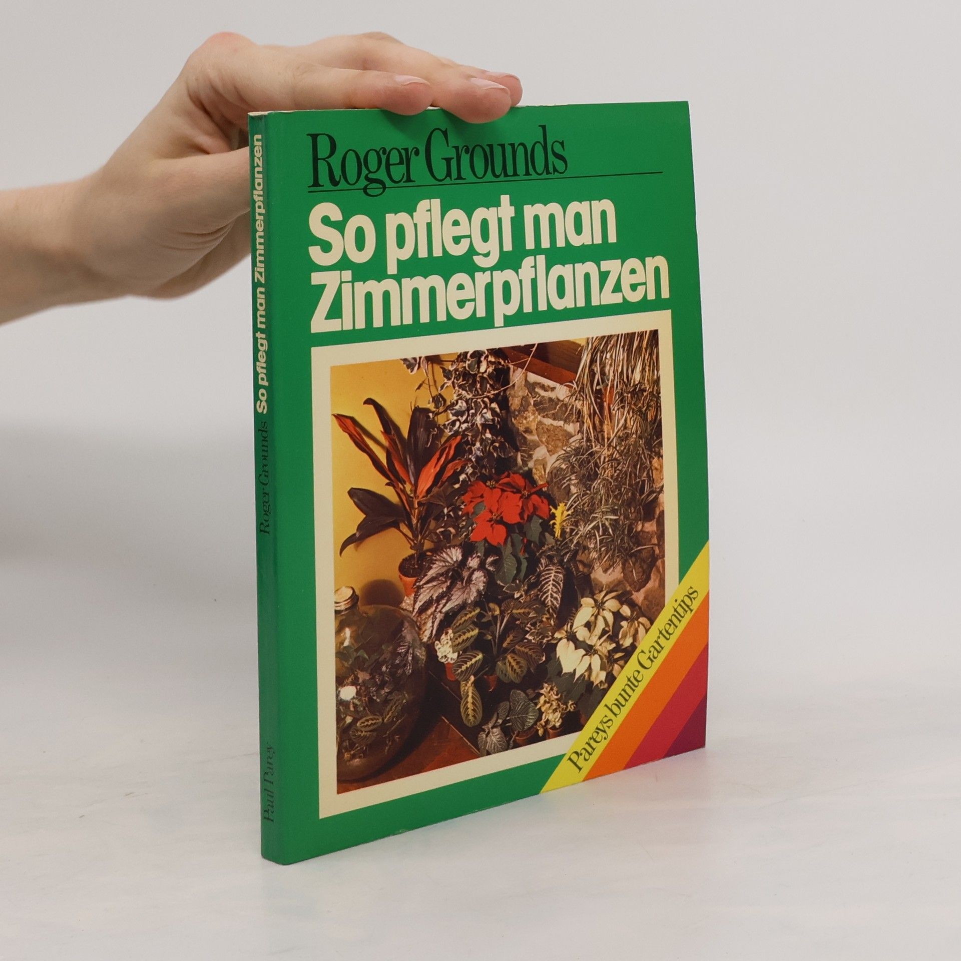 So pflegt man Zimmerpflanzen