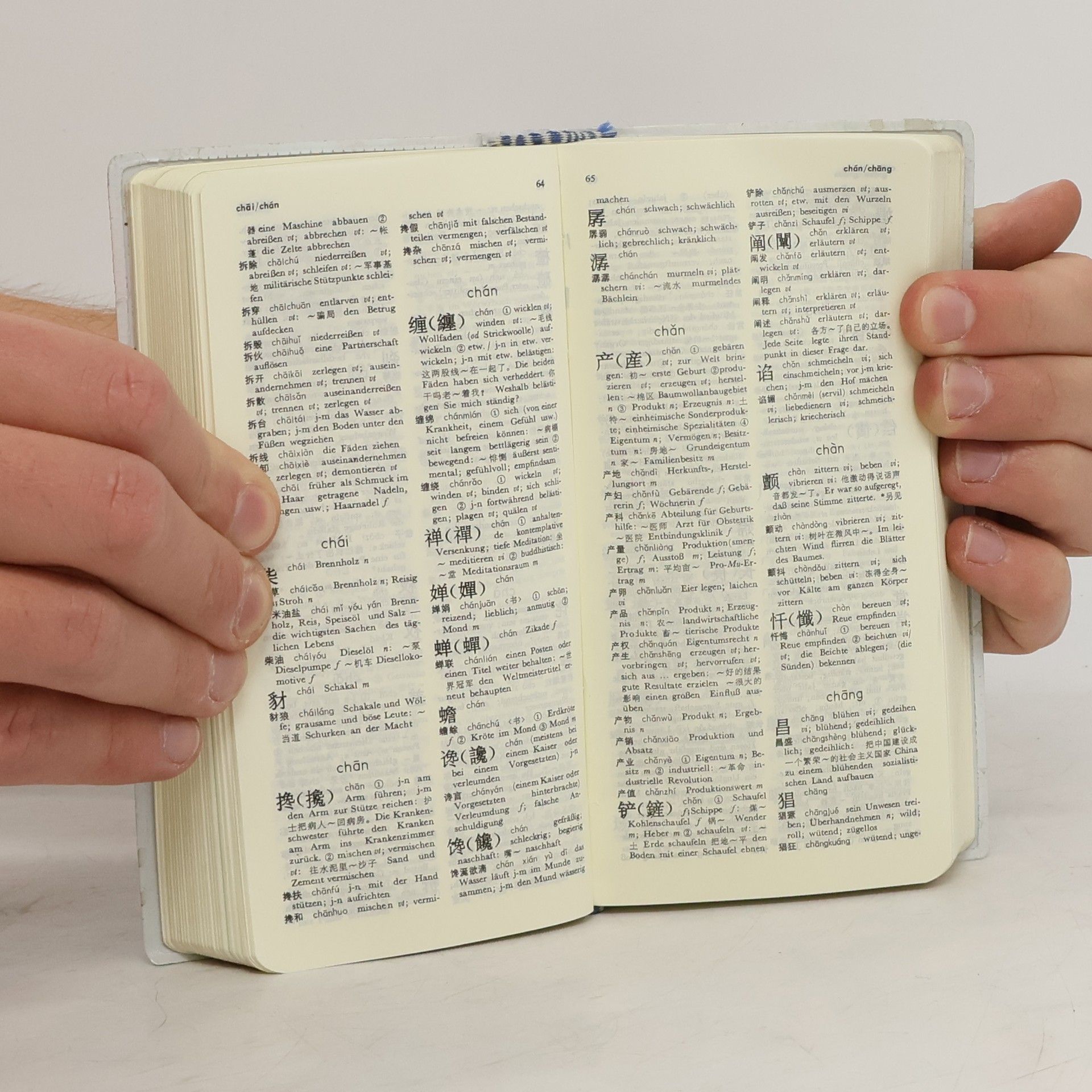 Susanne Brudermüller Handwörterbuch Deutsch - Chinesisch / Chinesisch - Deutsch