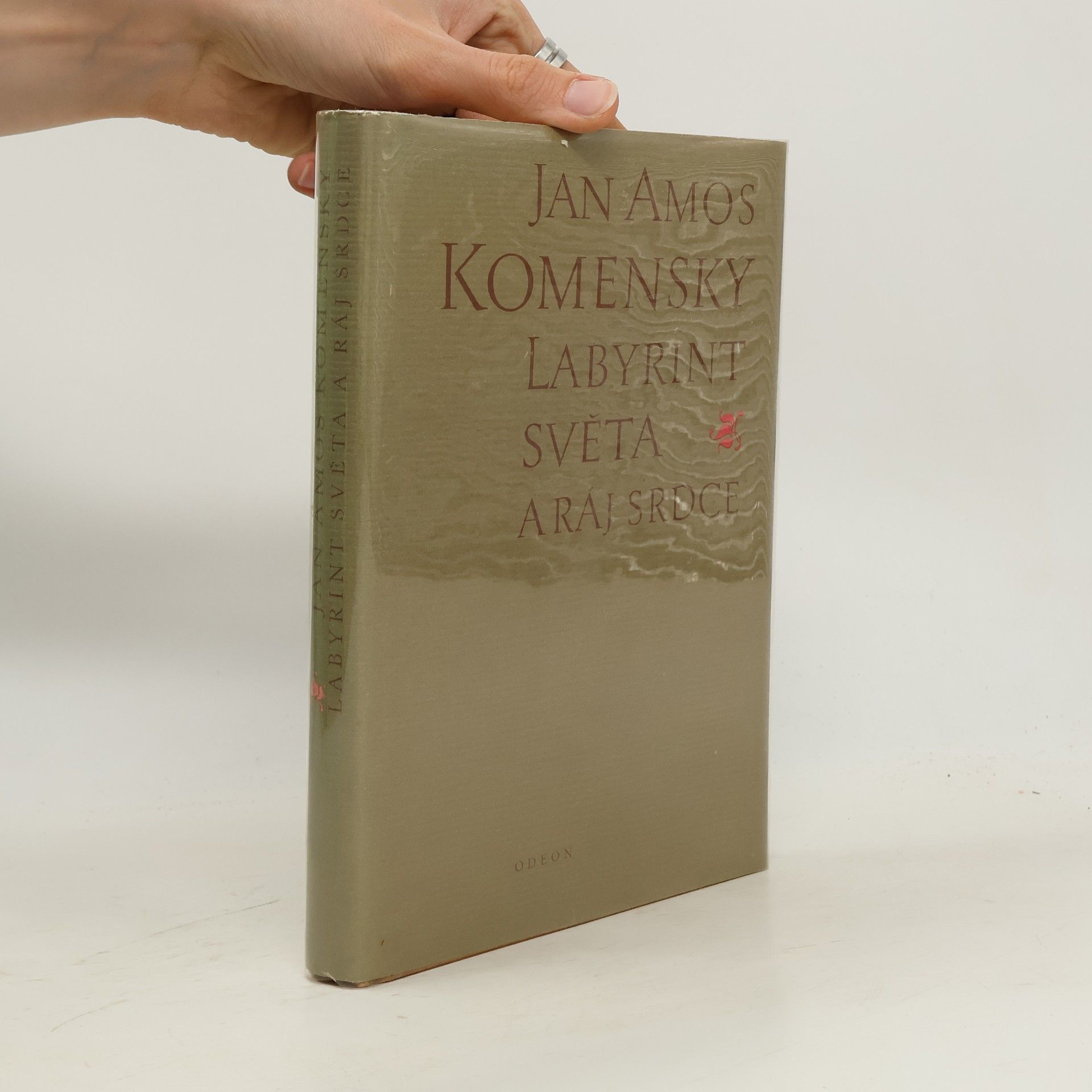 Jan Amos Komenský Labyrint světa a ráj srdce