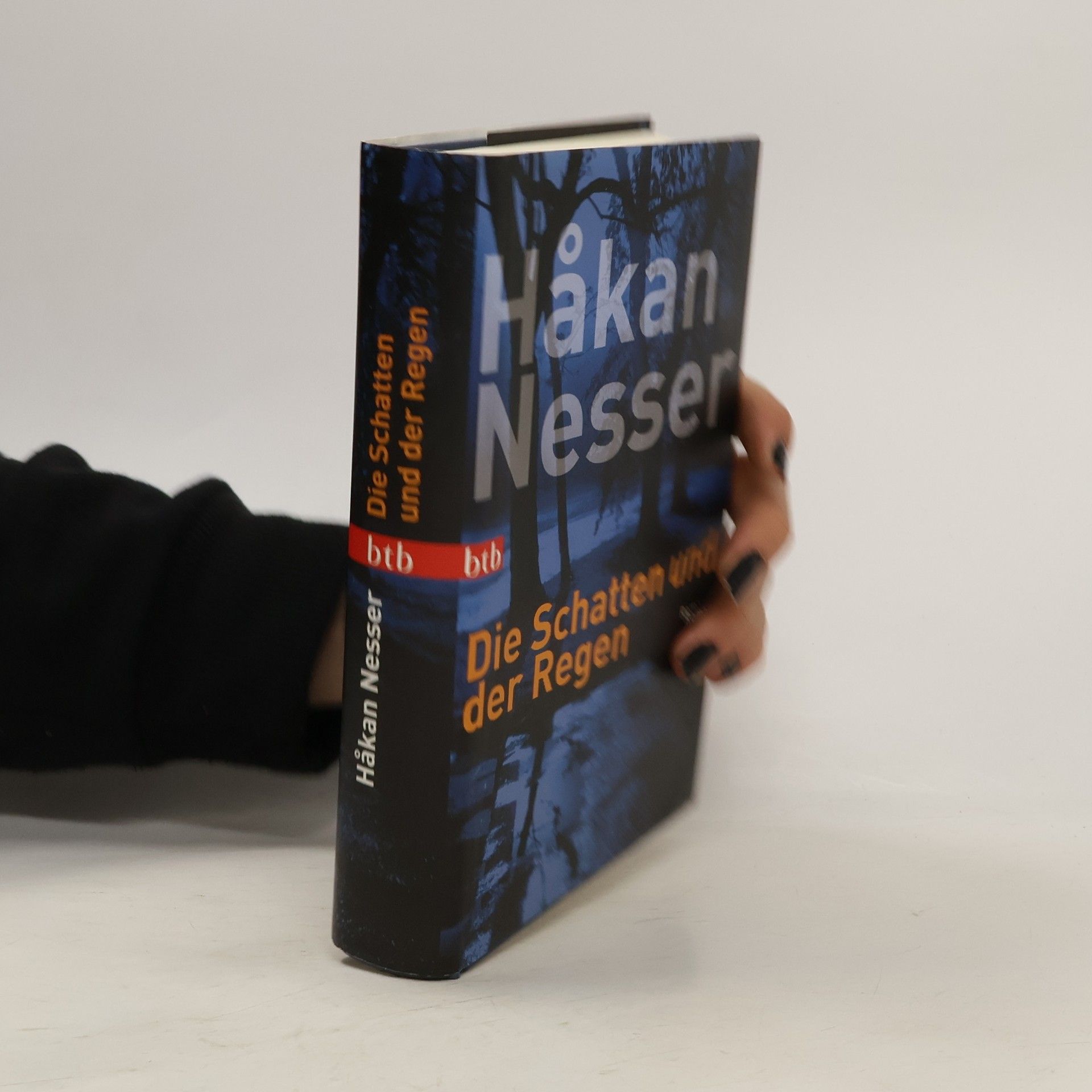 Hakan Nesser Die Schatten und der Regen