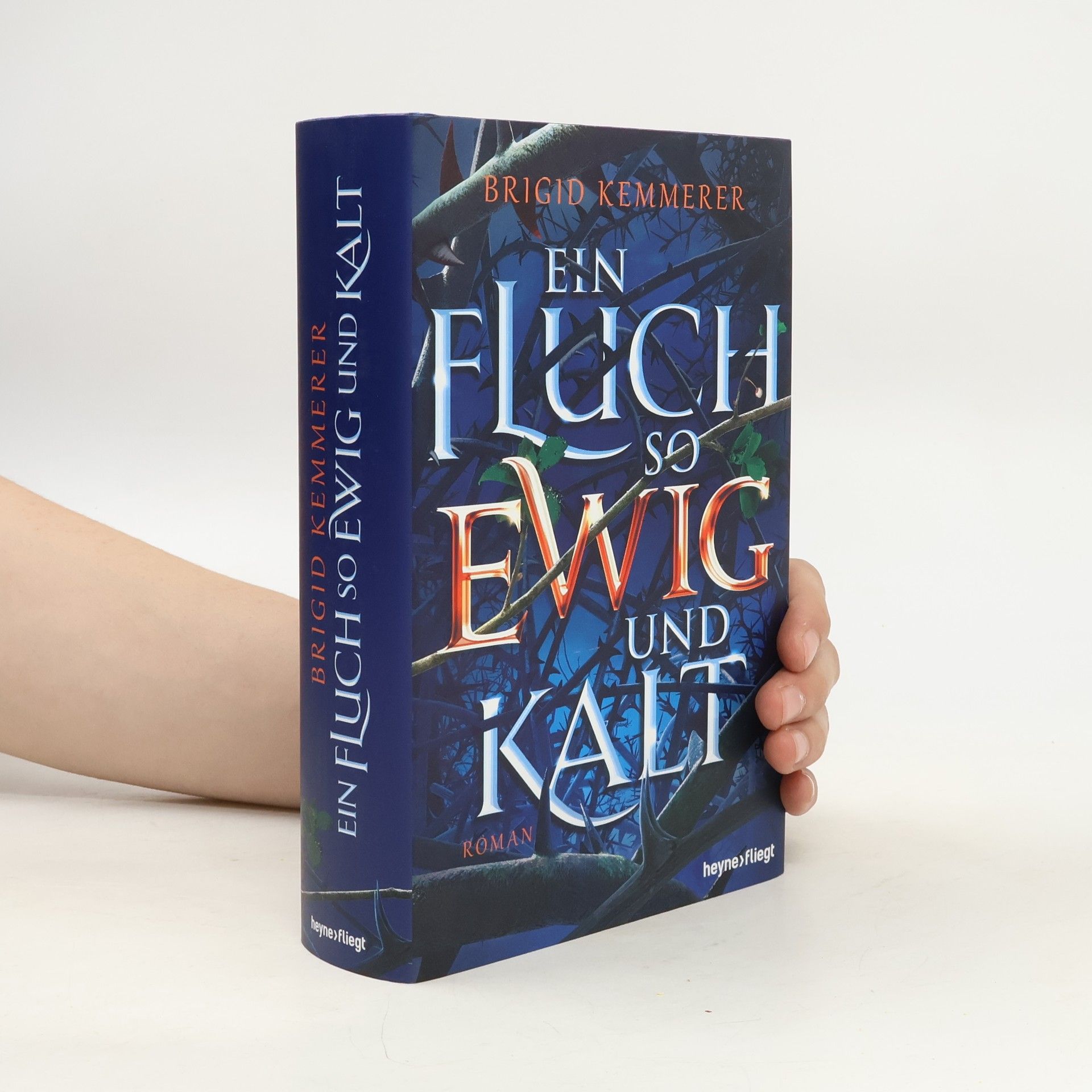 Brigid Kemmerer Ein Fluch so ewig und kalt
