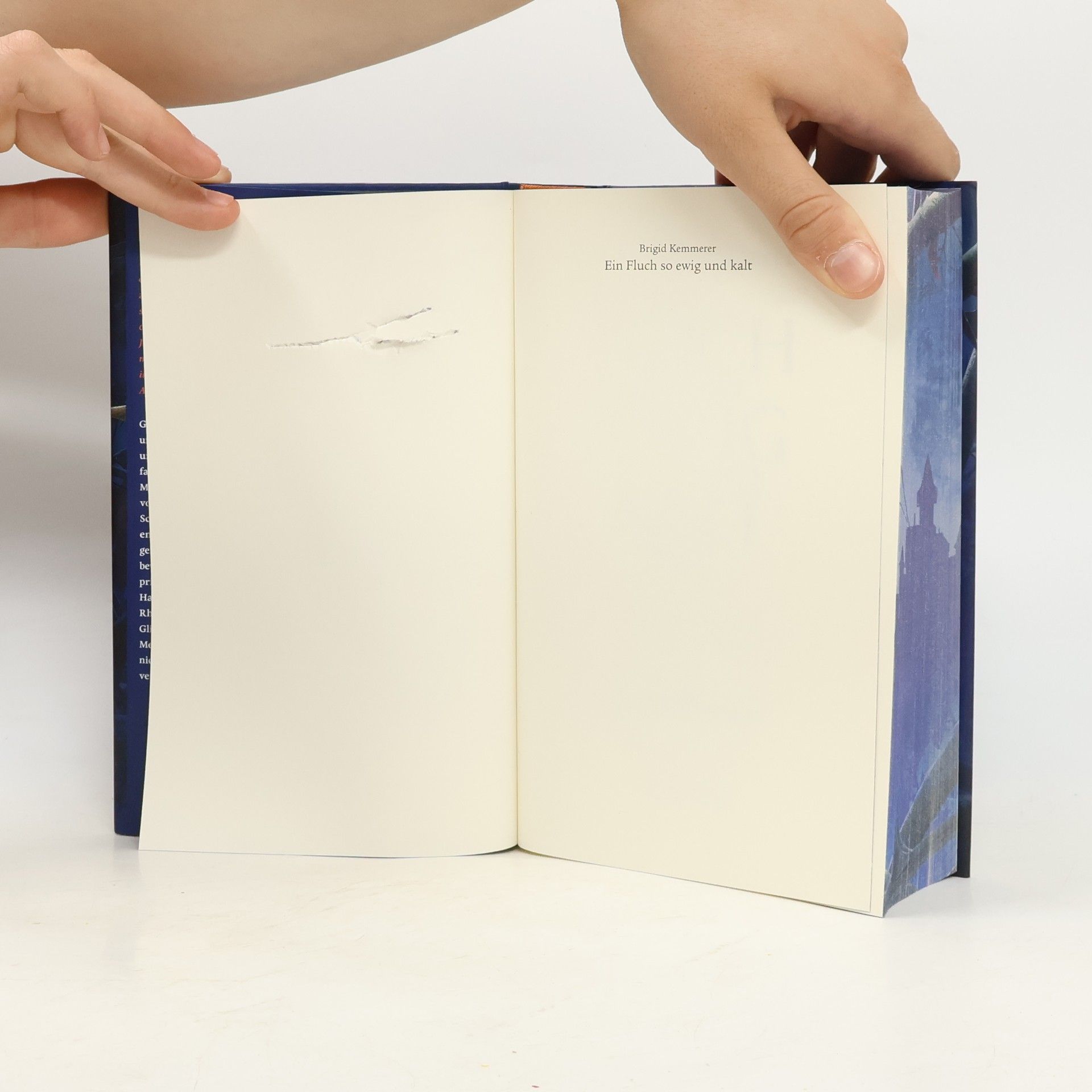 Brigid Kemmerer Ein Fluch so ewig und kalt