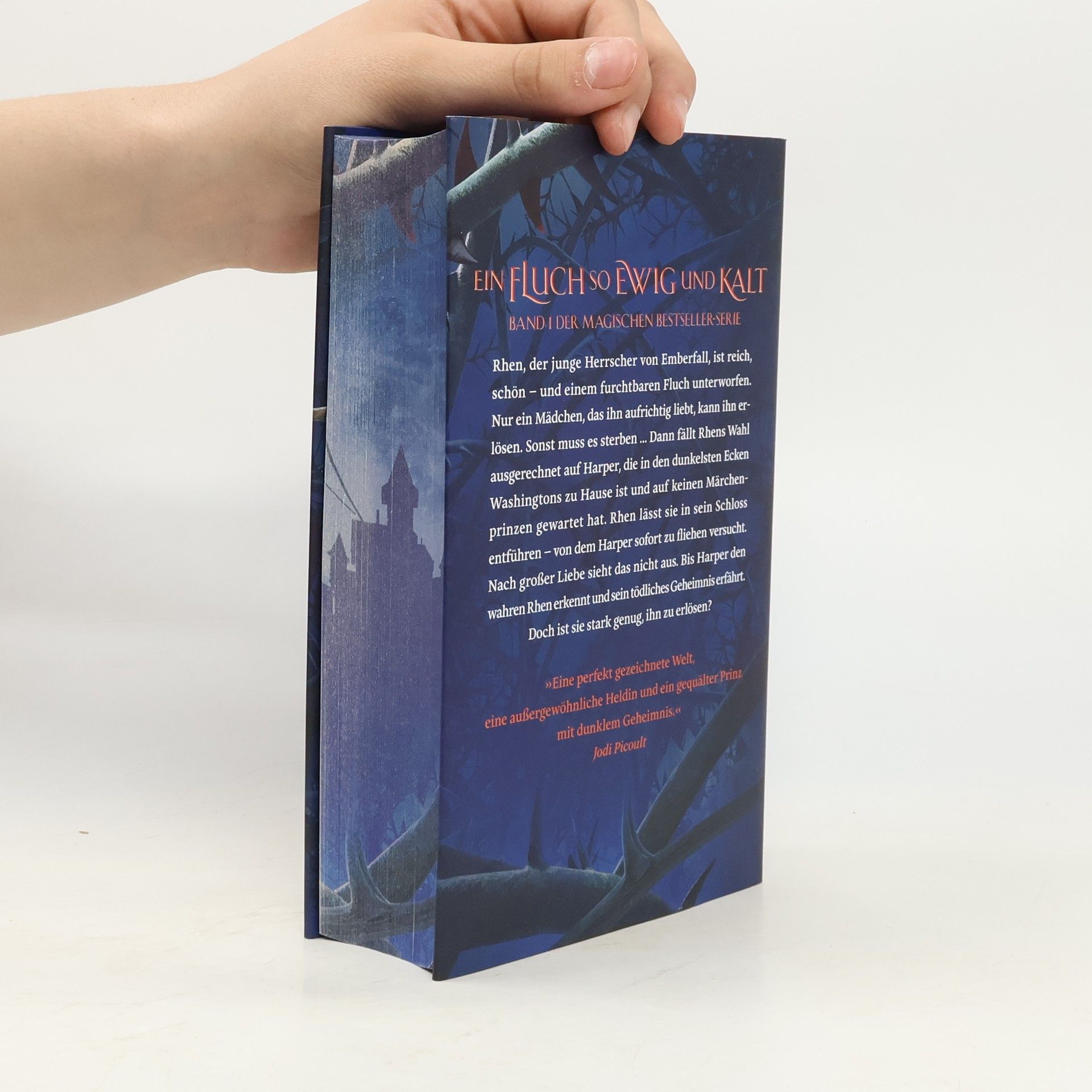 Brigid Kemmerer Ein Fluch so ewig und kalt