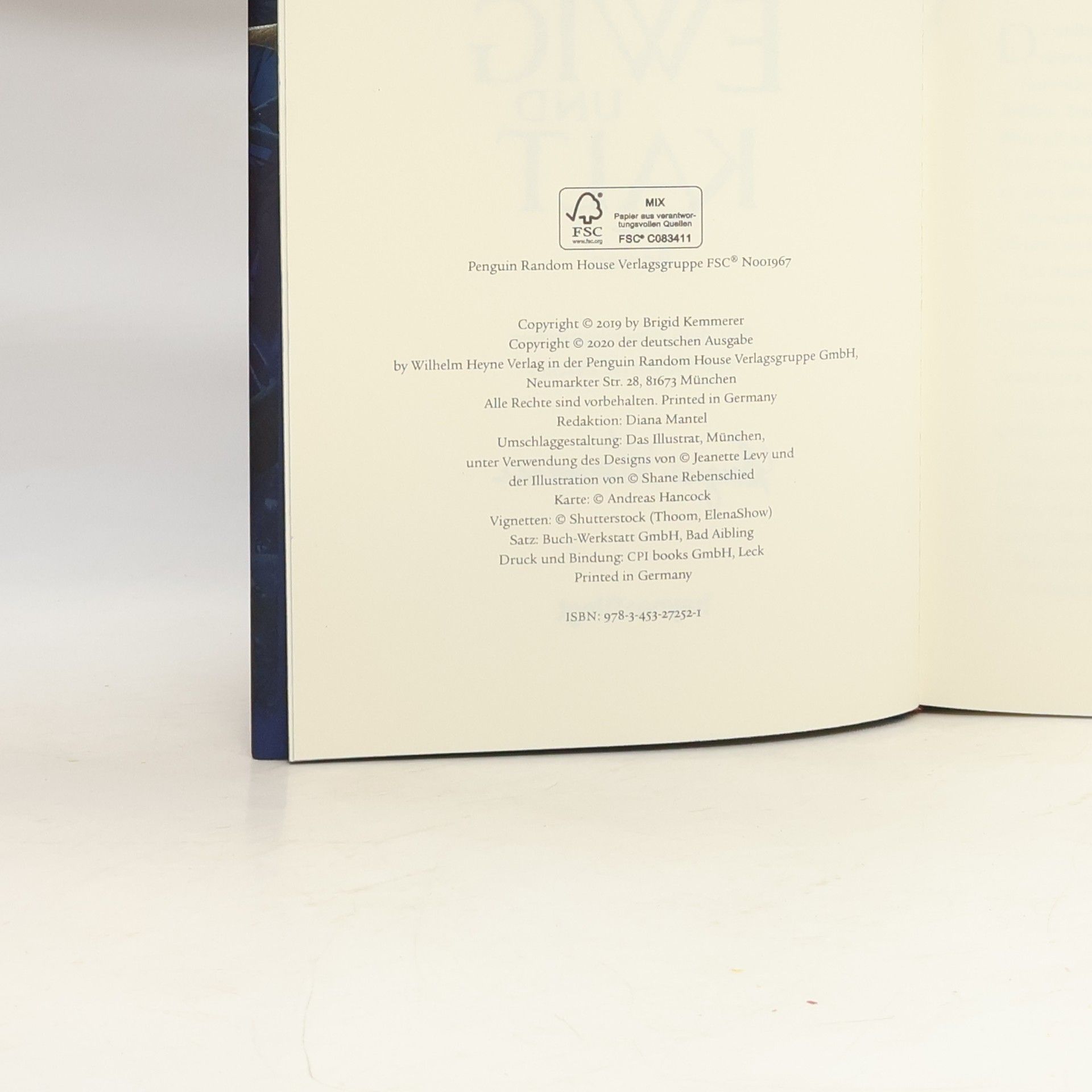 Brigid Kemmerer Ein Fluch so ewig und kalt