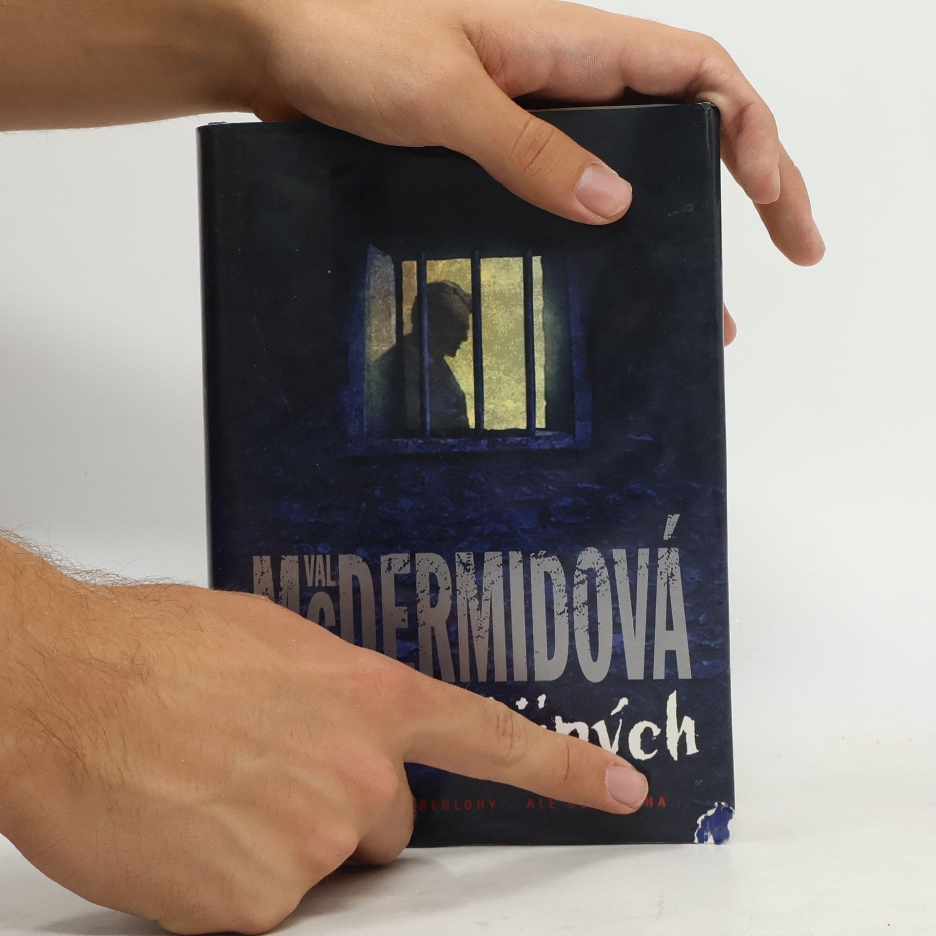 Val McDermid Utrpení jiných