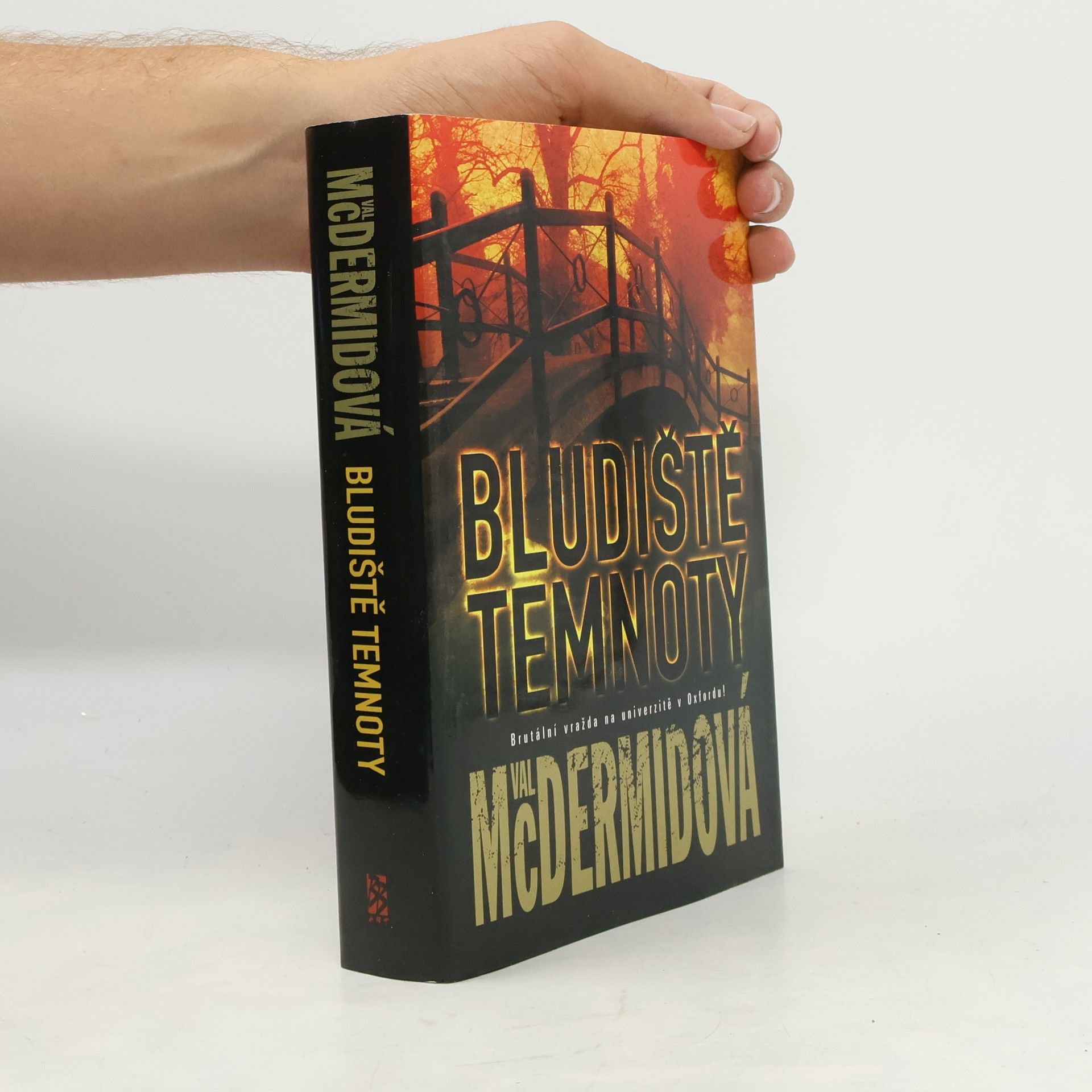 Val McDermid Bludiště temnoty