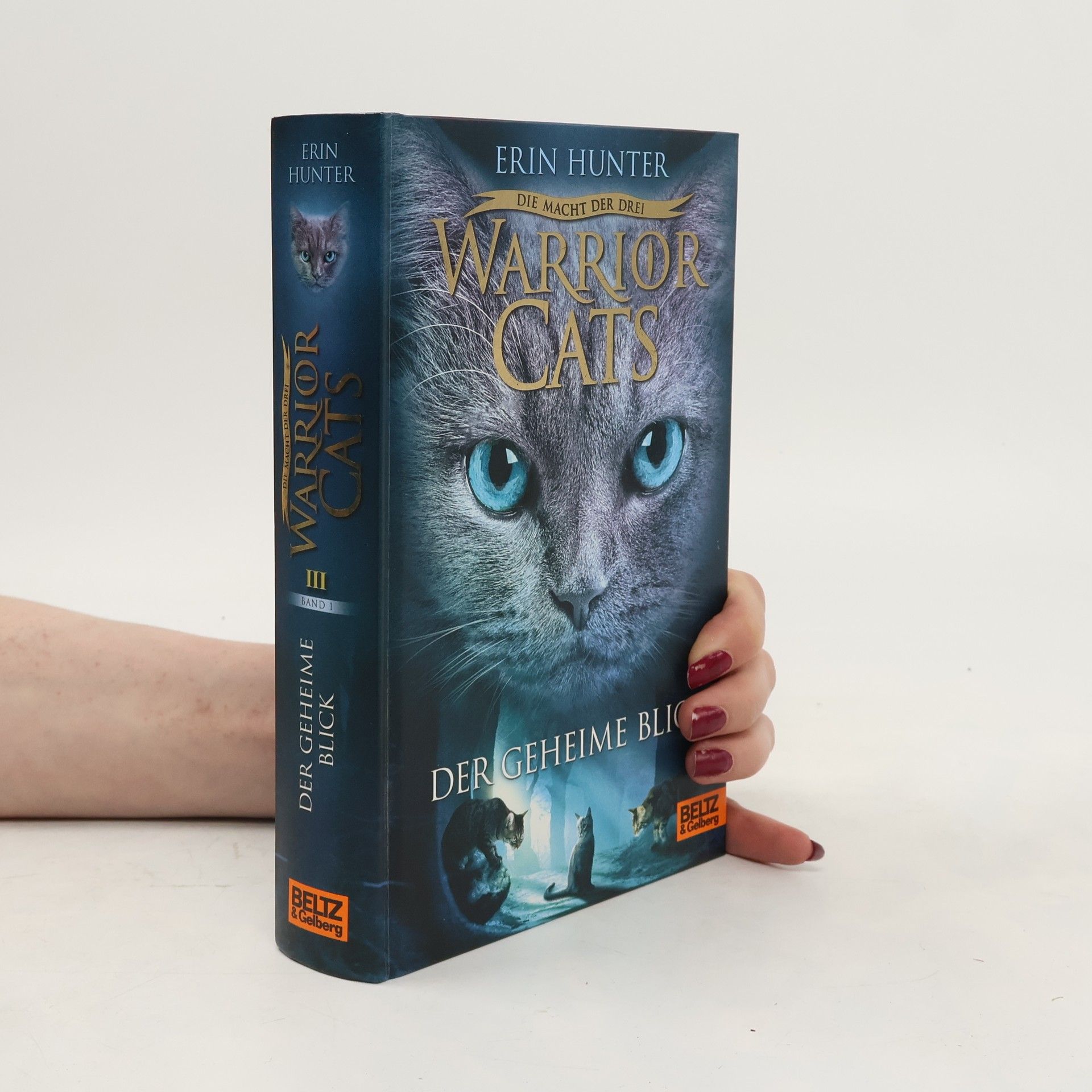 Erin Hunter Warrior Cats: Der geheime Blick