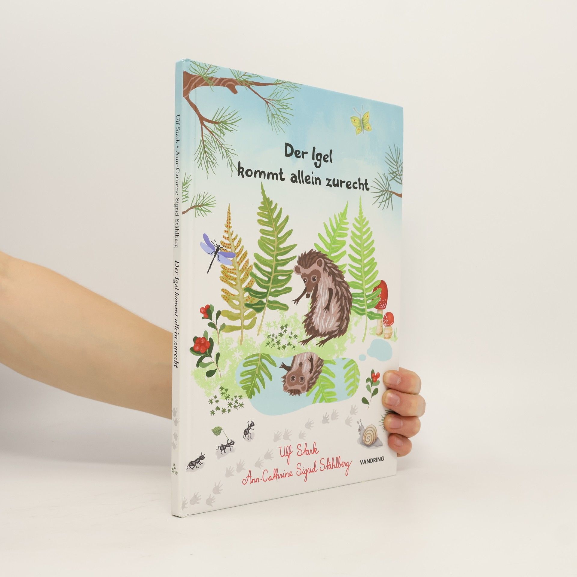 Autorenkollektiv Der Igel kommt allein zurecht