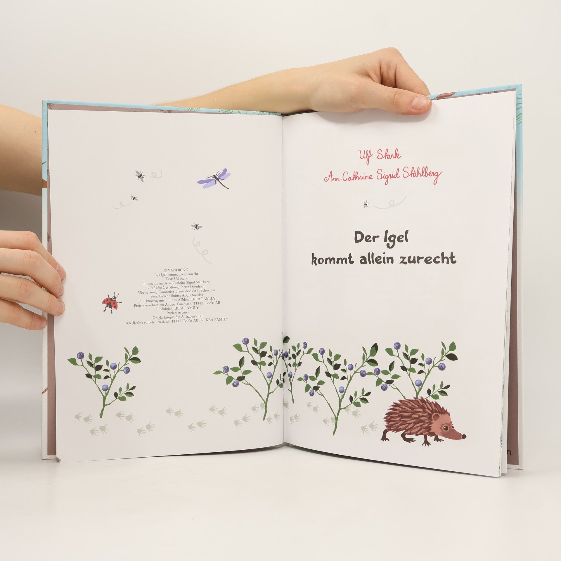 Autorenkollektiv Der Igel kommt allein zurecht