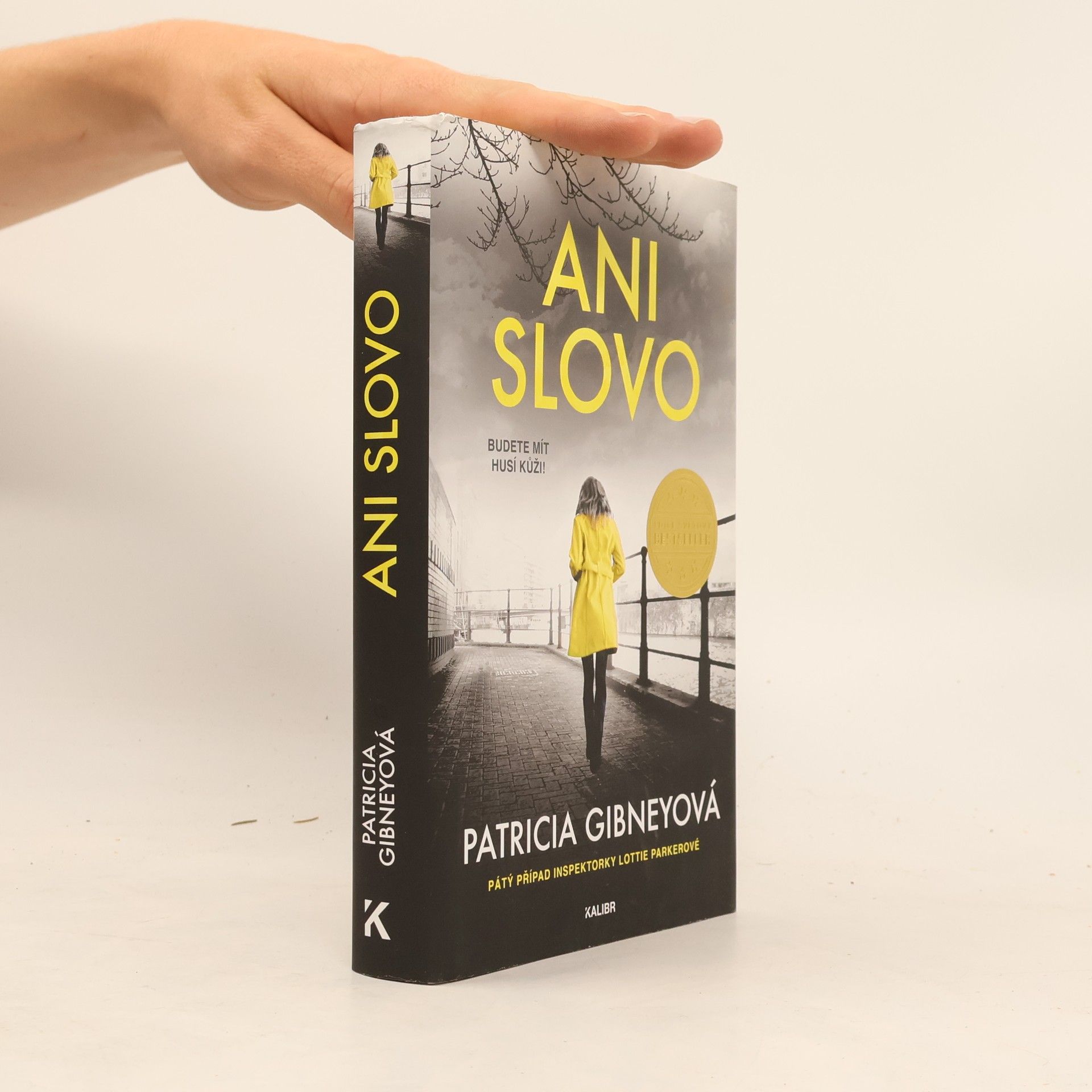 Patricia Gibney Ani slovo