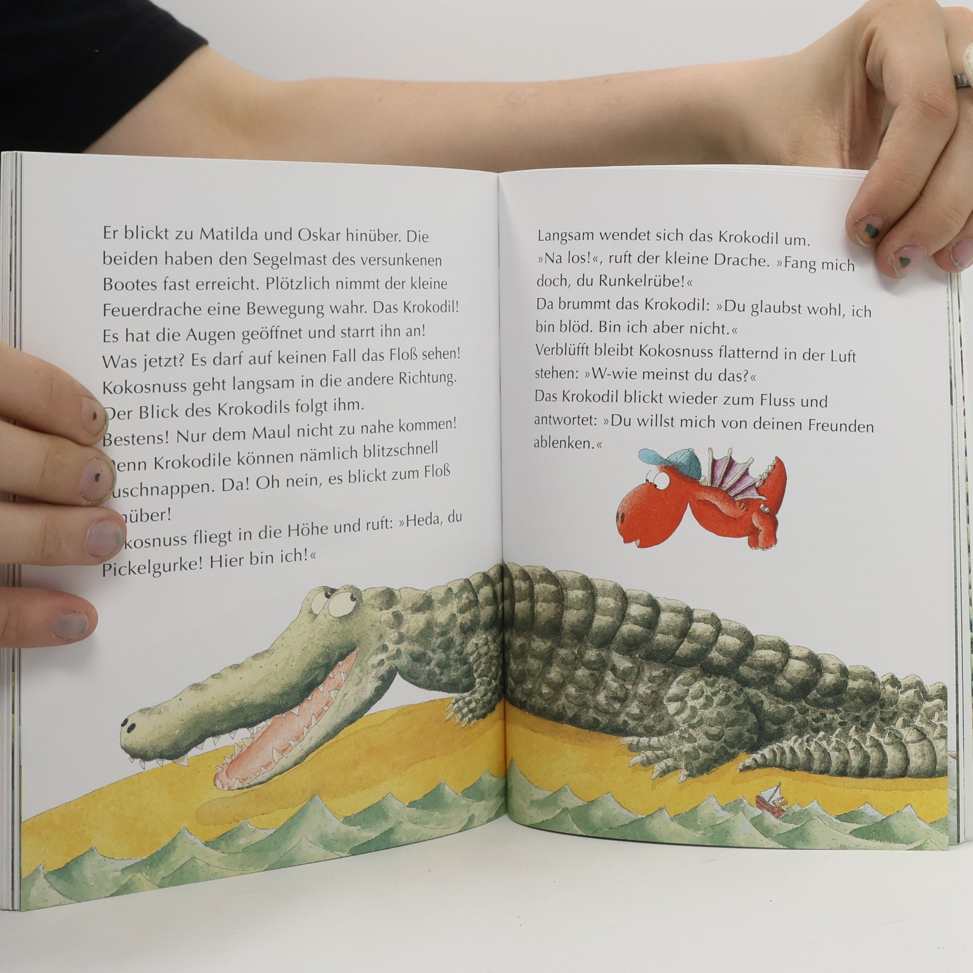 Ingo Siegner Der kleine Drache Kokosnuss und der Schatz im Dschungel