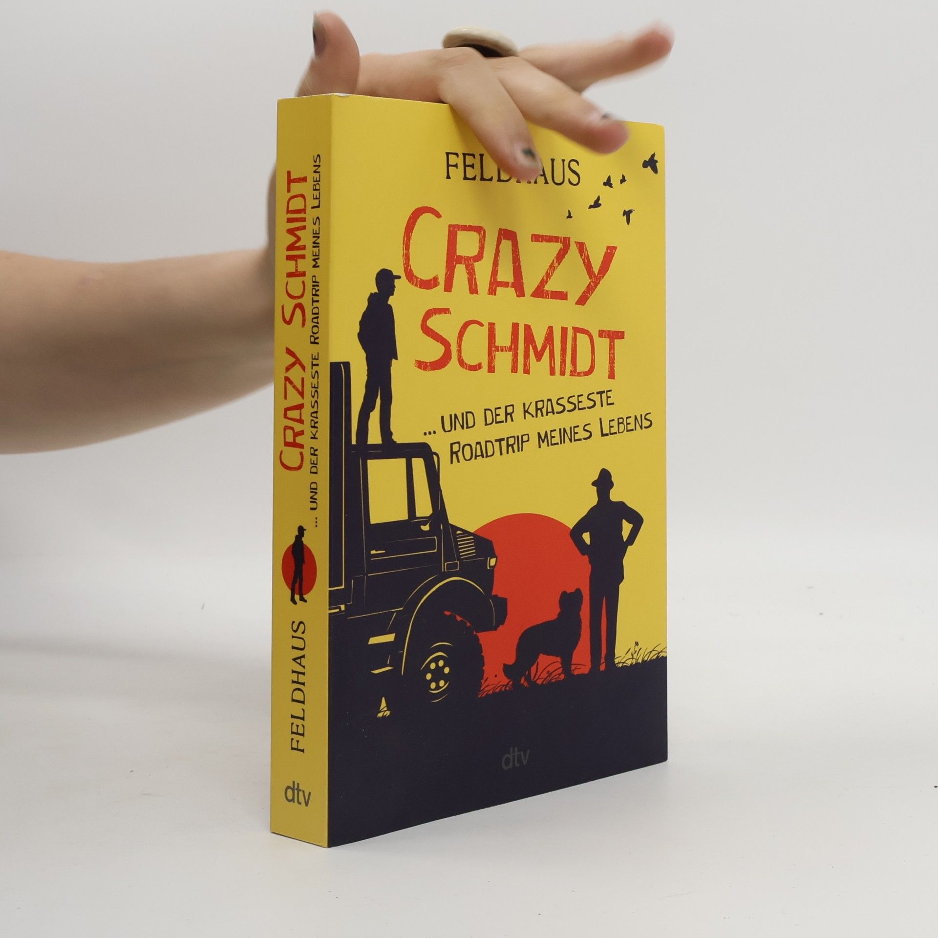 Hans-Jürgen Feldhaus Crazy Schmidt … und der krasseste Roadtrip meines Lebens