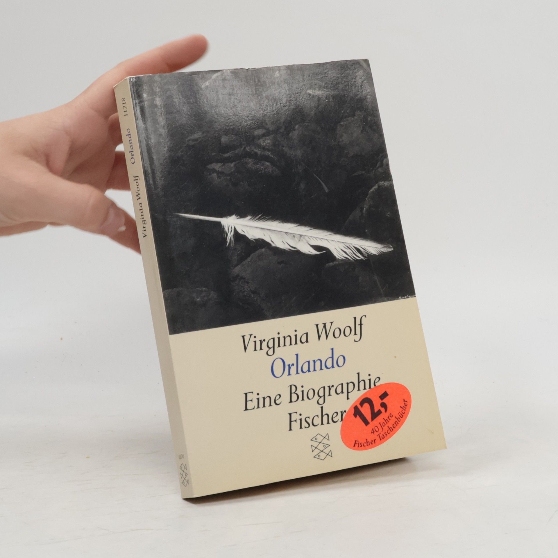 Virginia Woolf Orlando: Eine Biographie