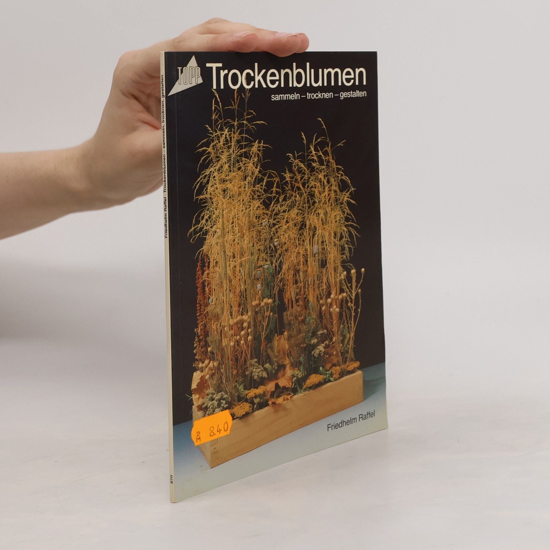 Friedhelm Raffel Trockenblumen