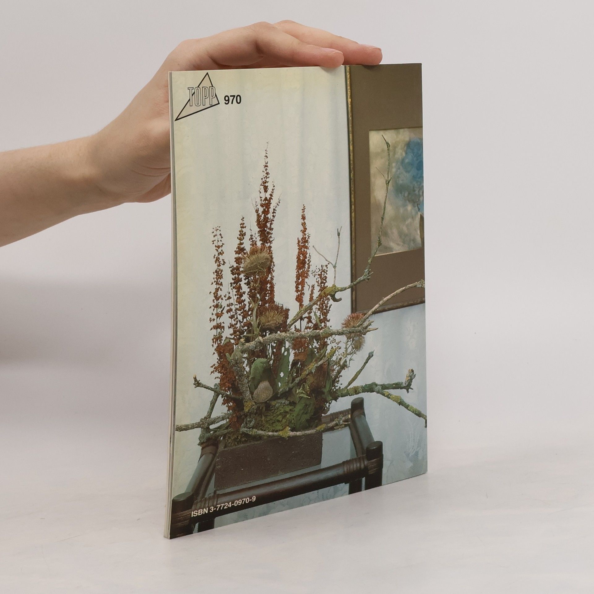 Friedhelm Raffel Trockenblumen