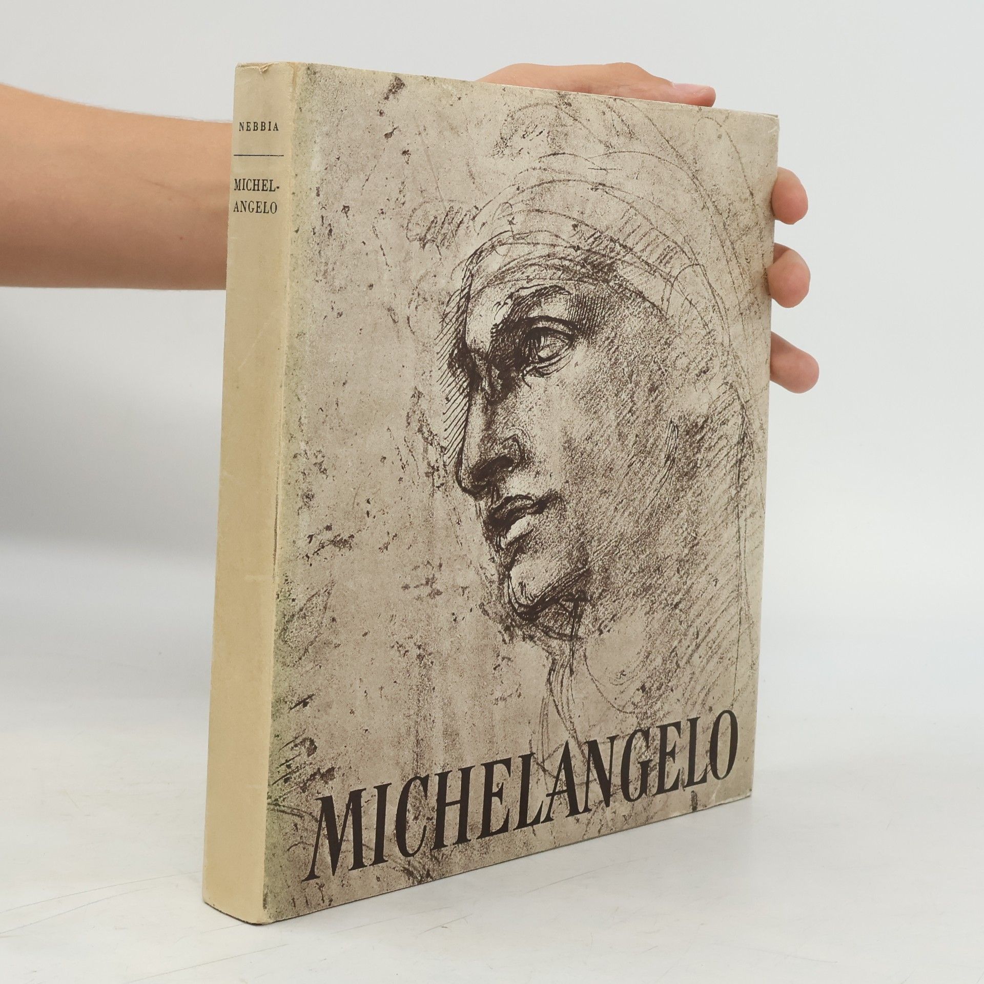 Ugo Nebbia Michelangelo. Sochař, malíř, stavitel, básník
