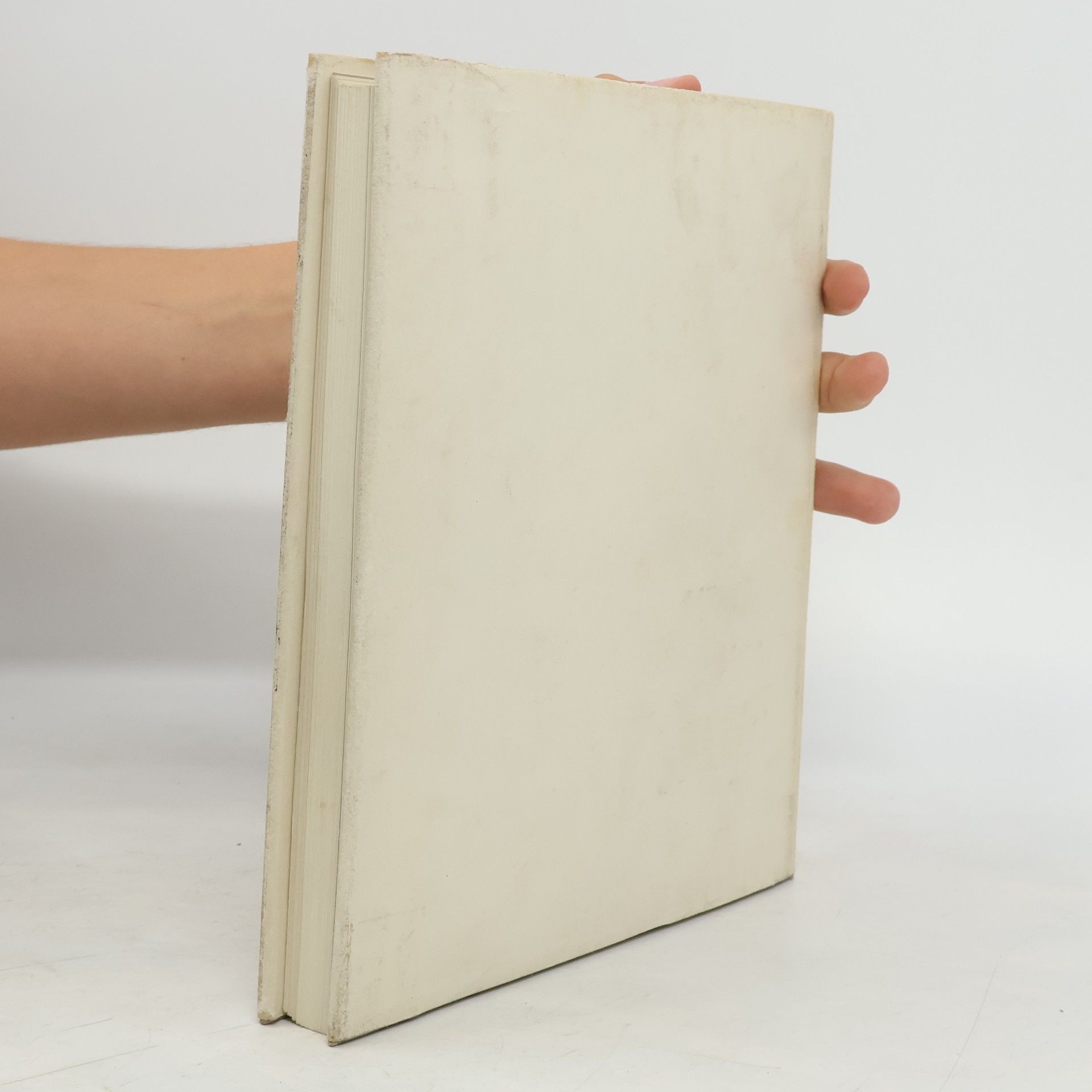 Ugo Nebbia Michelangelo. Sochař, malíř, stavitel, básník