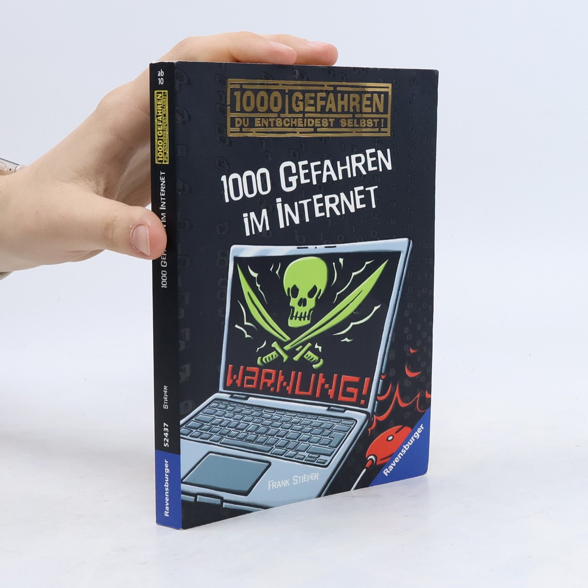 Frank Stieper 1000 Gefahren im Internet