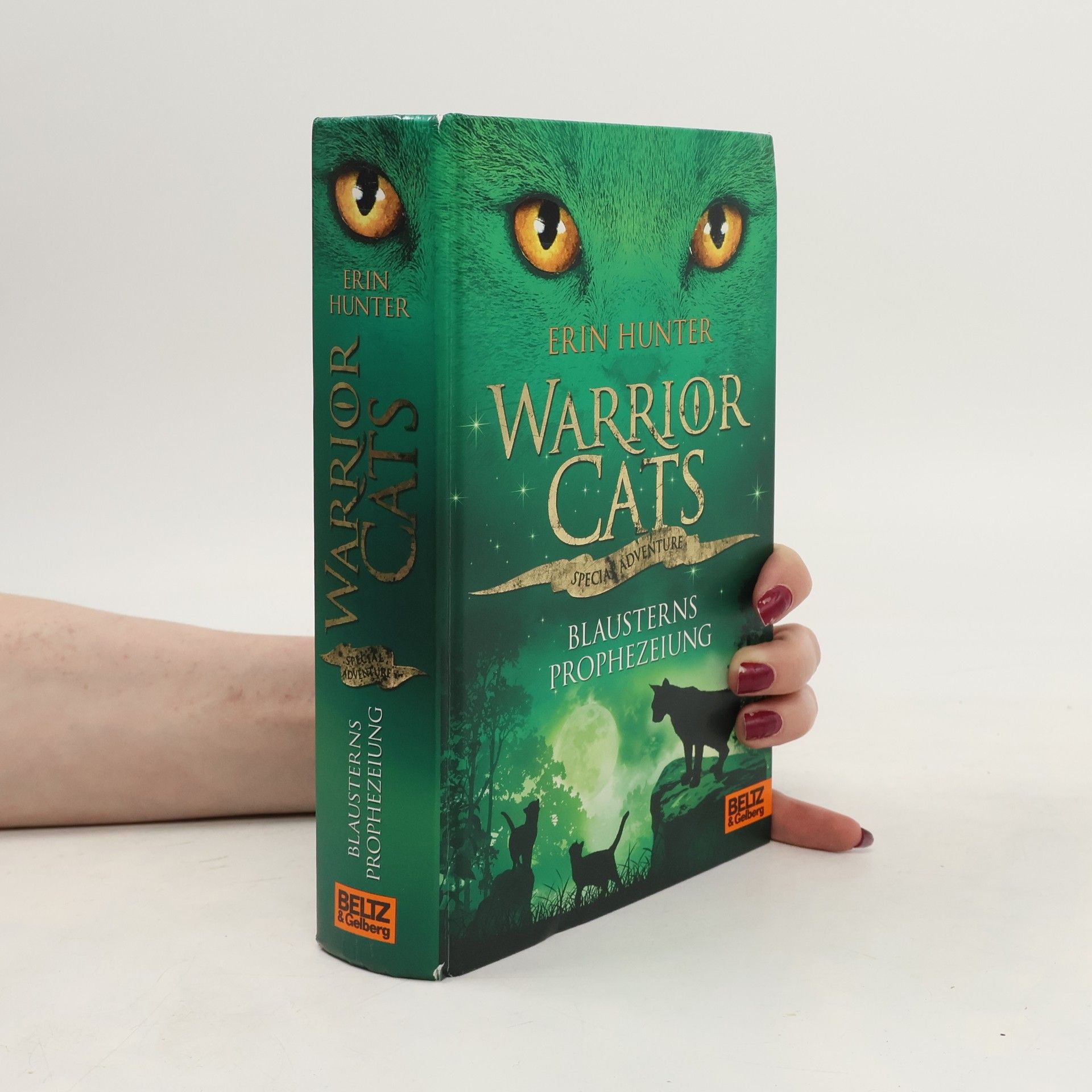 Erin Hunter Warrior cats. Special Adventure