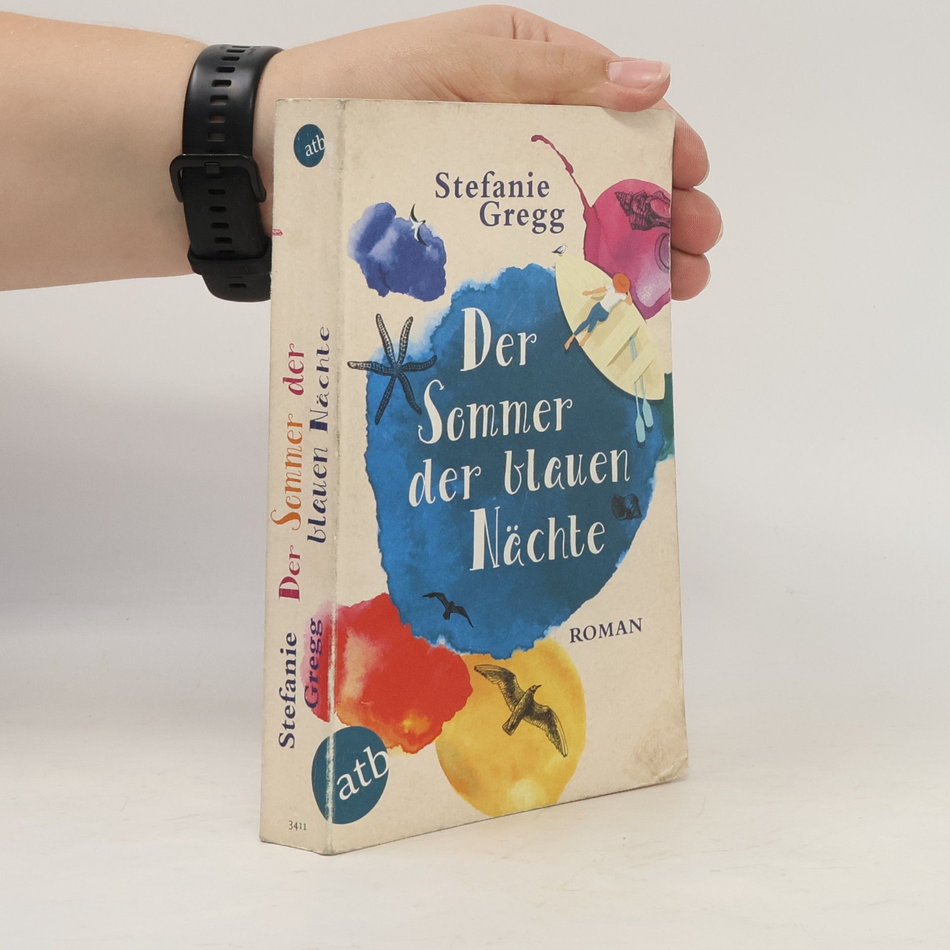 Stefanie Gregg Der Sommer der blauen Nächte