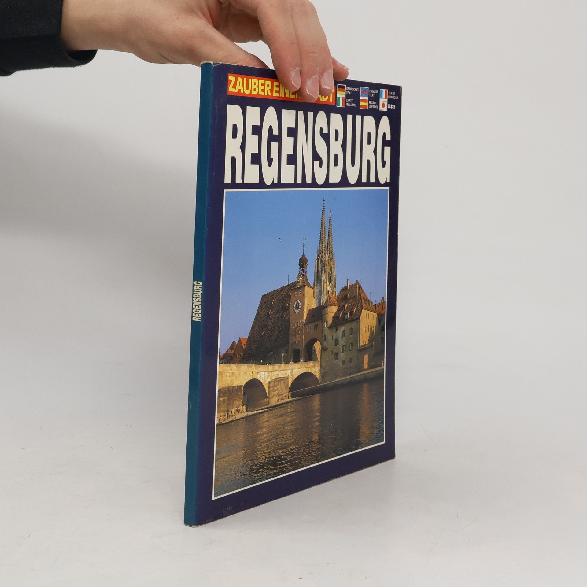 Kolektiv autorů Regensburg