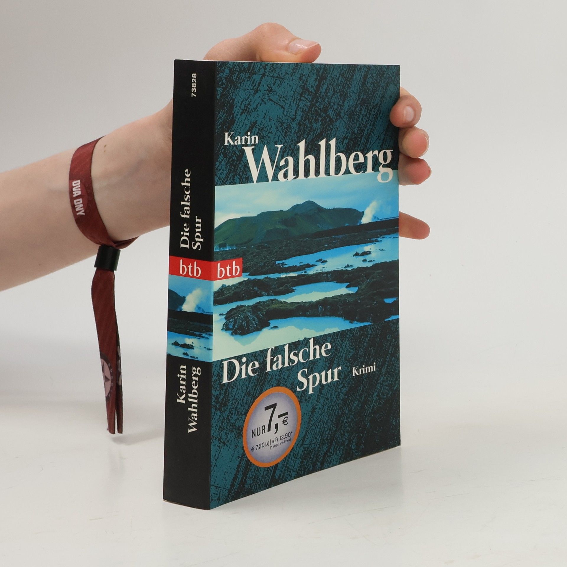 Karin Wahlberg Die falsche Spur