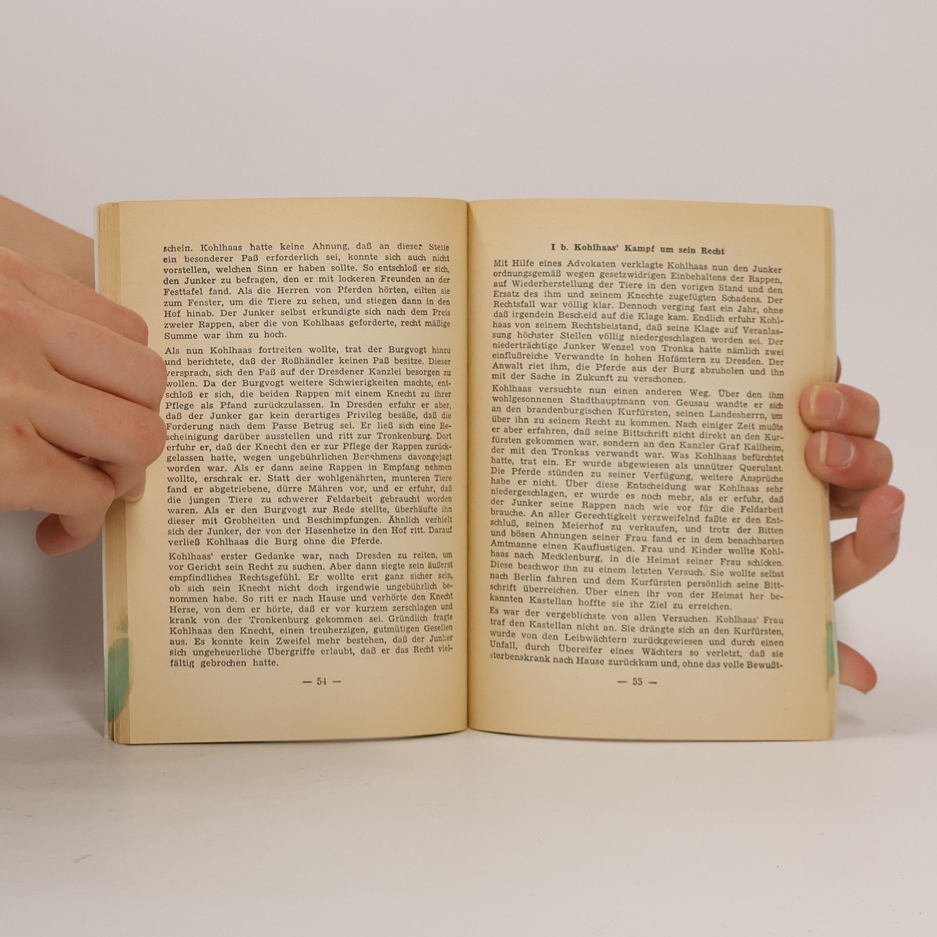 Heinrich von Kleist Königs Erläuterungen Band 87