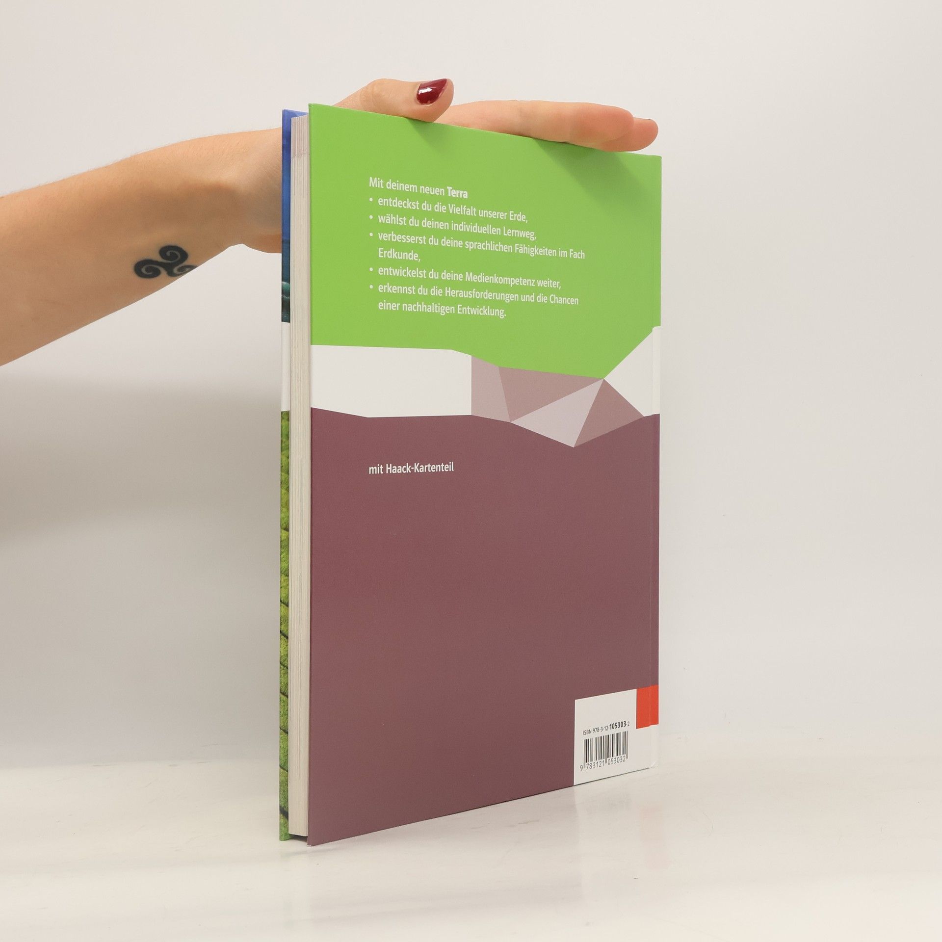 Autorenkollektiv Terra Erdkunde 3. Schulbuch Klasse 9/10. Differenzierende Ausgabe Nordrhein-Westfalen