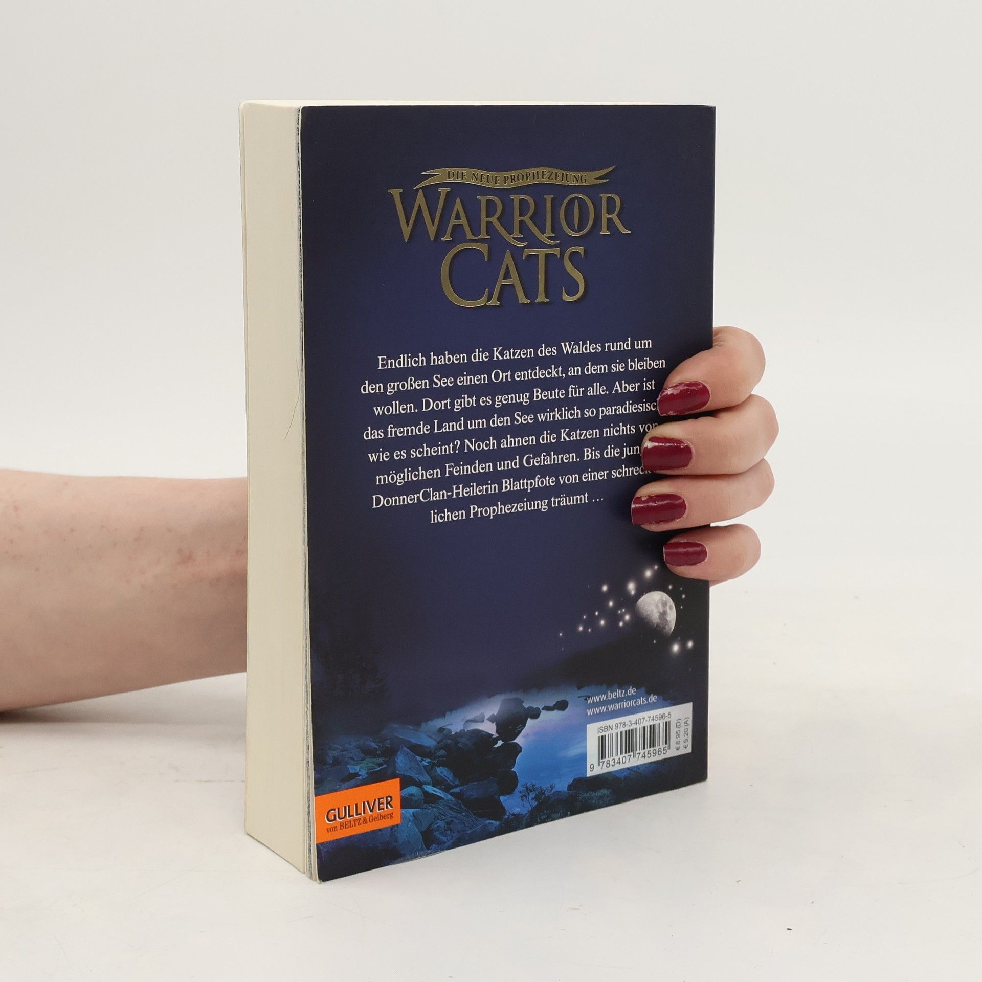Erin Hunter Warrior Cats: Sternenglanz
