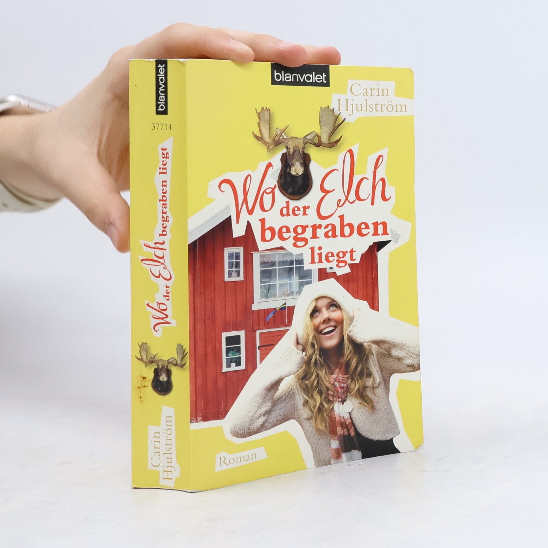 Carin Hjulström Wo der Elch begraben liegt