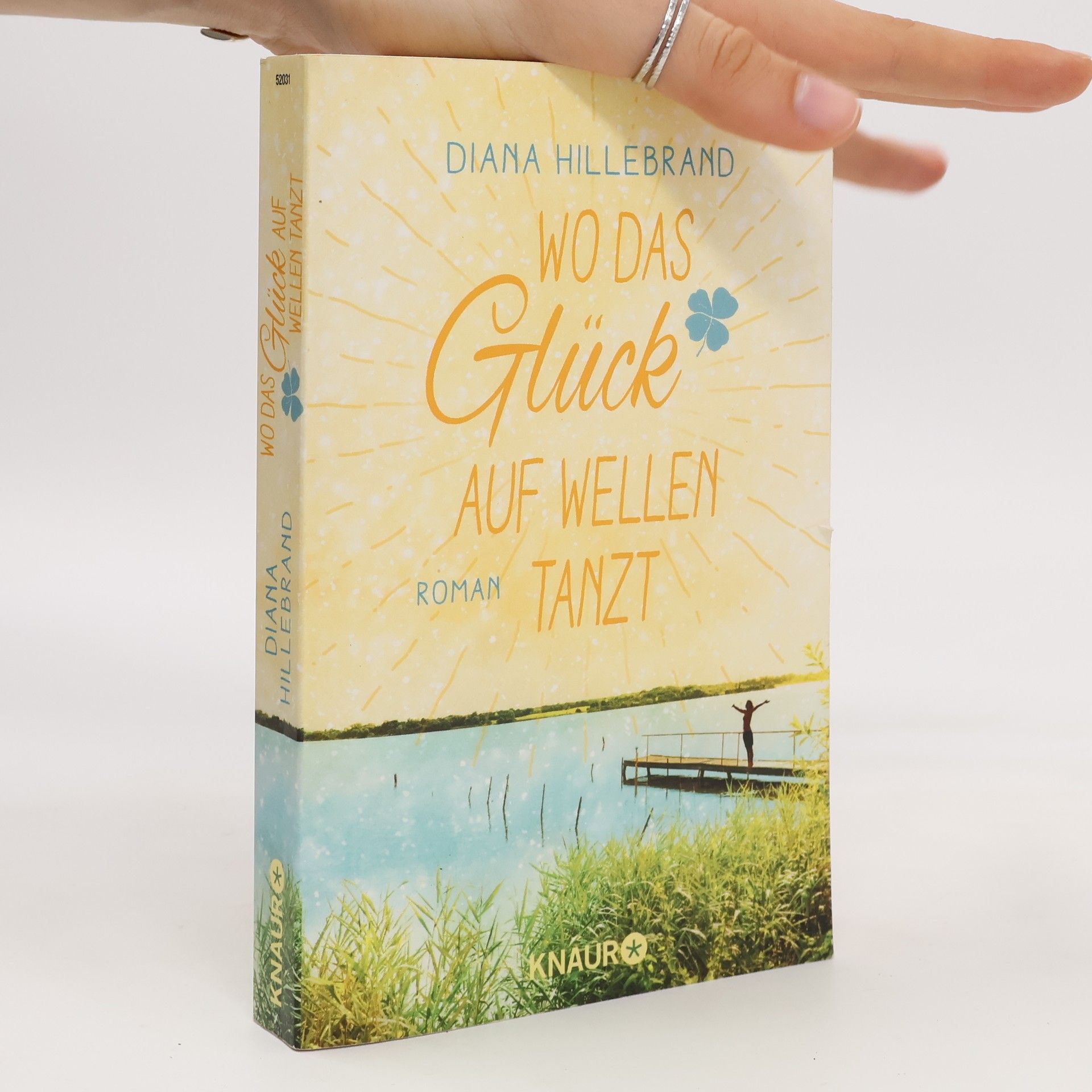 Diana Hillebrand Wo das Glück auf Wellen tanzt