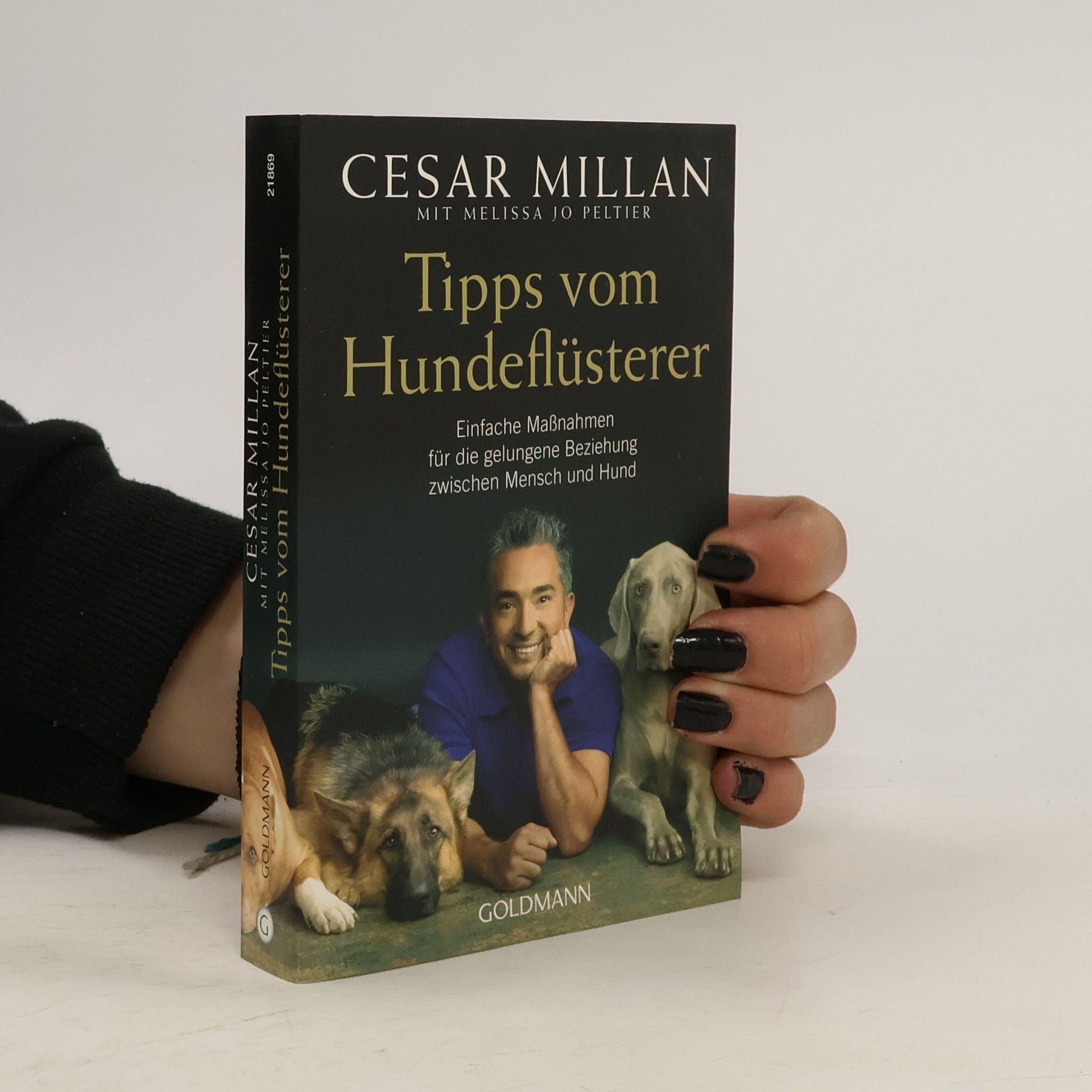 Cesar Millan Tipps vom Hundeflüsterer